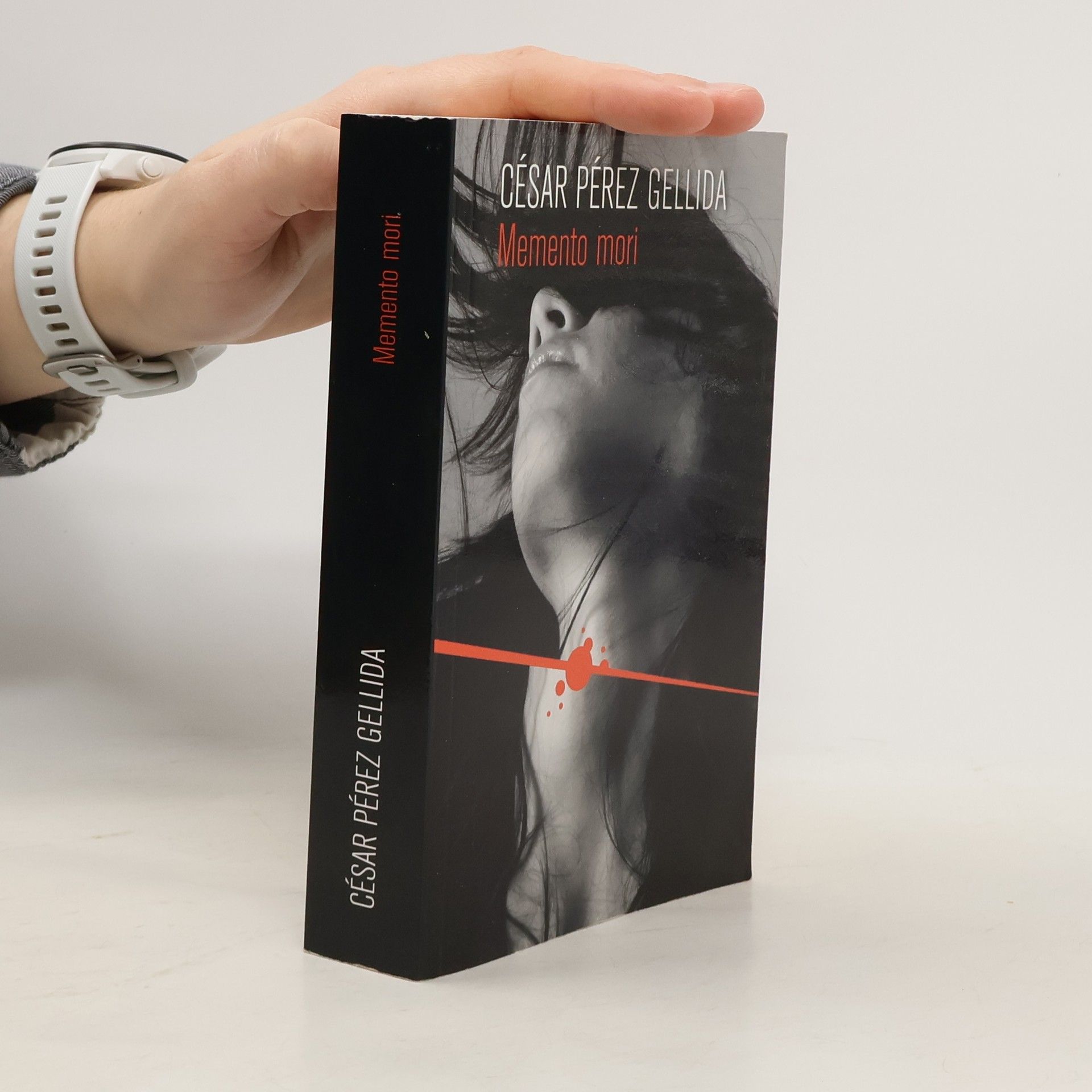Cesar Perez Gellida Memento mori