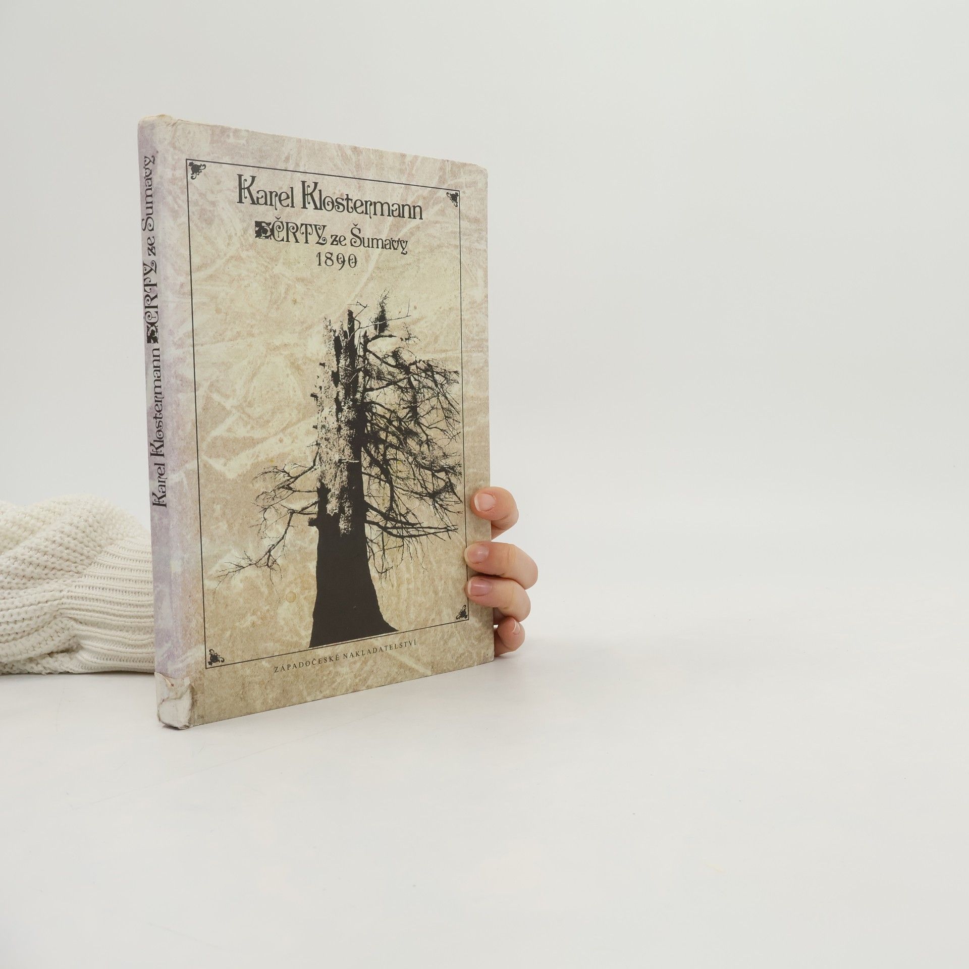 Karel Klostermann Črty ze Šumavy 1890