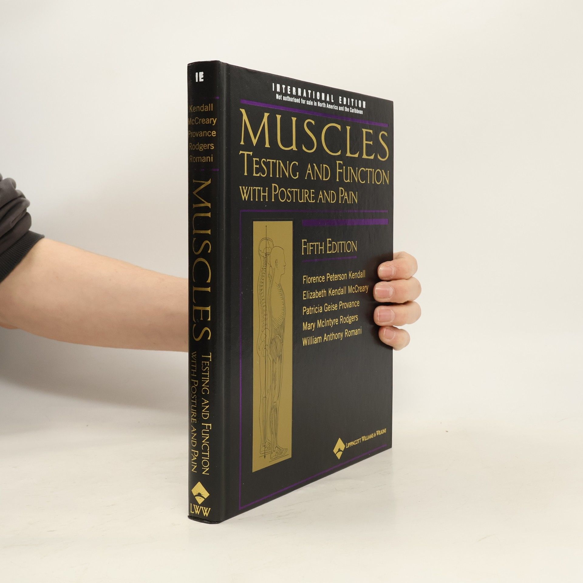 Florence Peterson Kendall Muscles