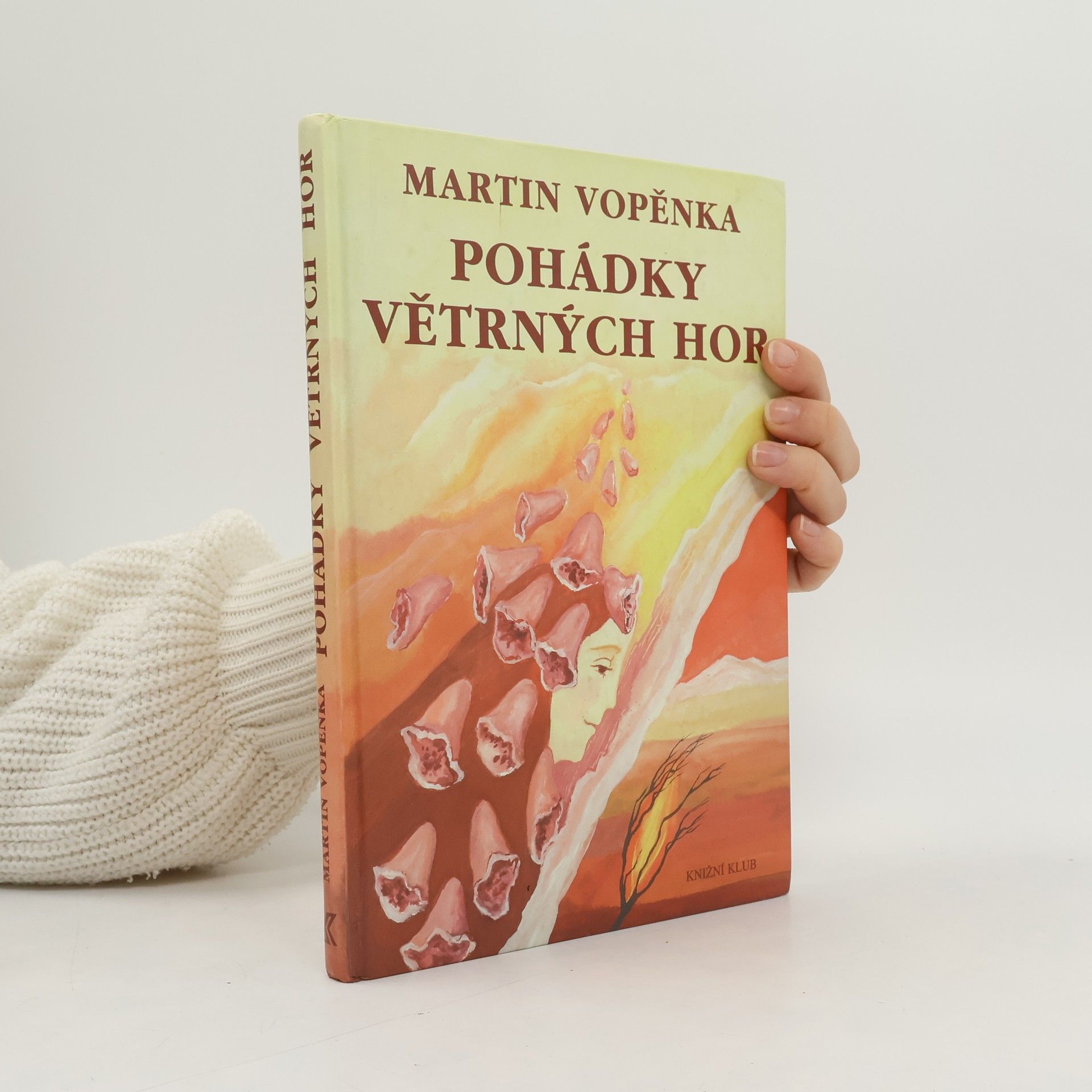 Martin Vopěnka Pohádky Větrných hor