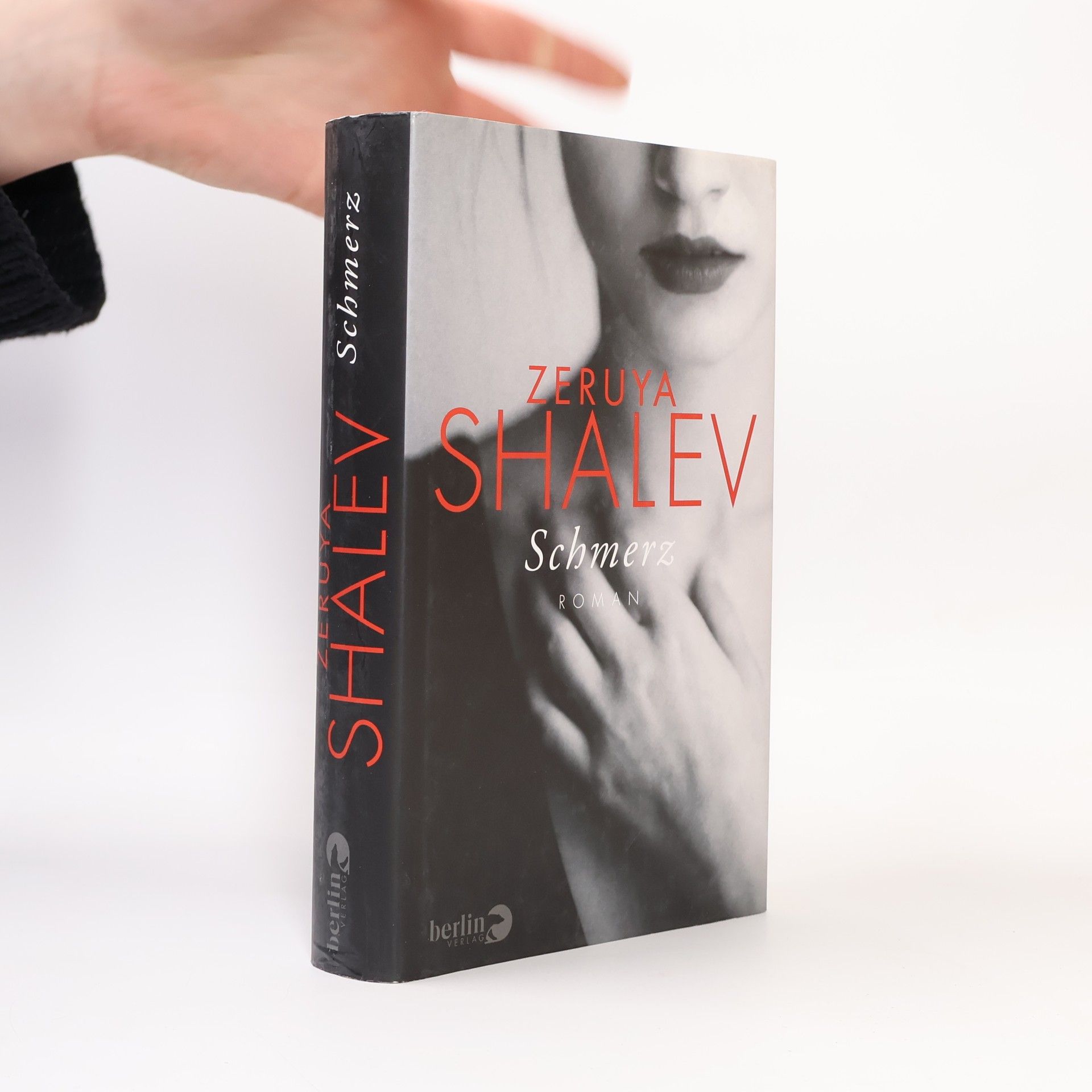 Zeruya Shalev Schmerz