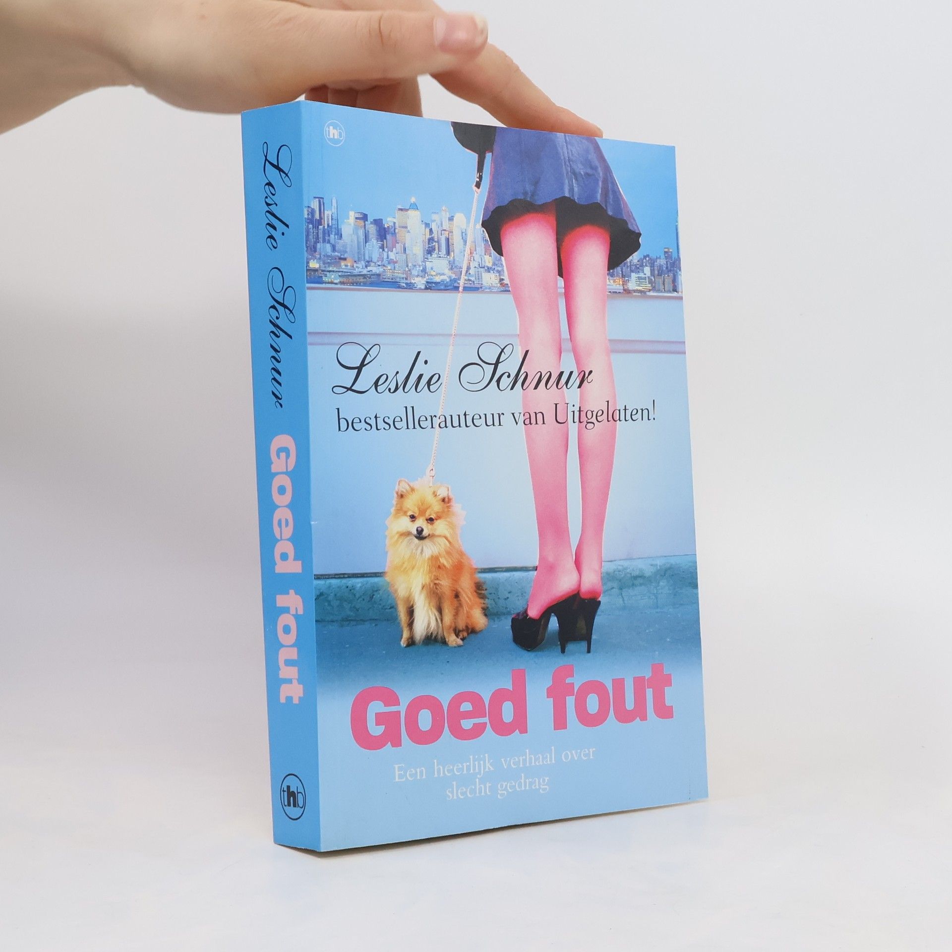 Leslie Schnur Goed fout