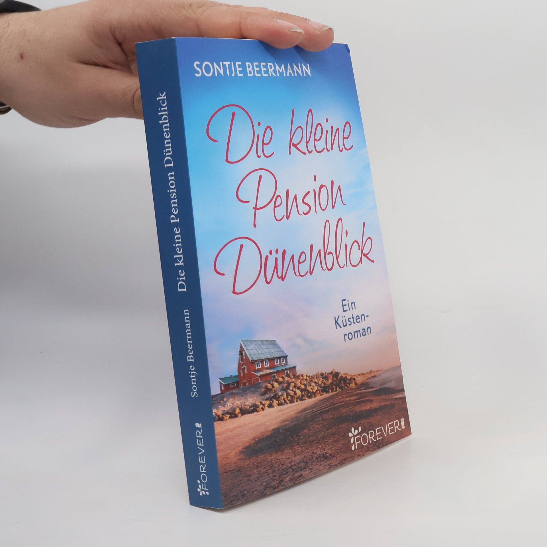 Sontje Beermann Die kleine Pension Dünenblick