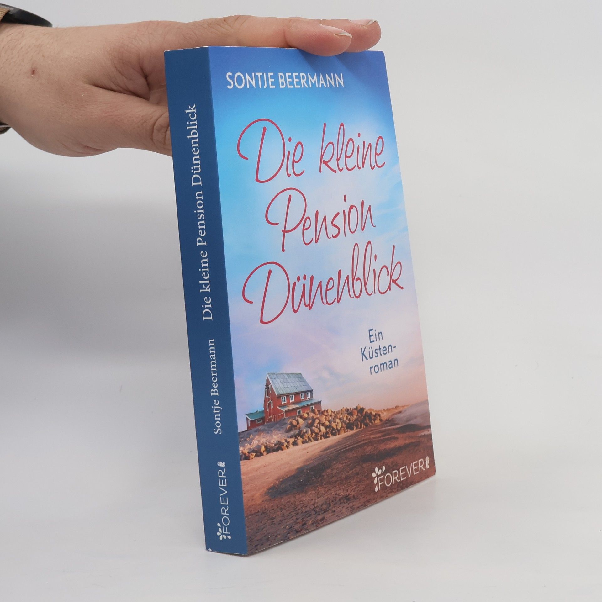 Sontje Beermann Die kleine Pension Dünenblick