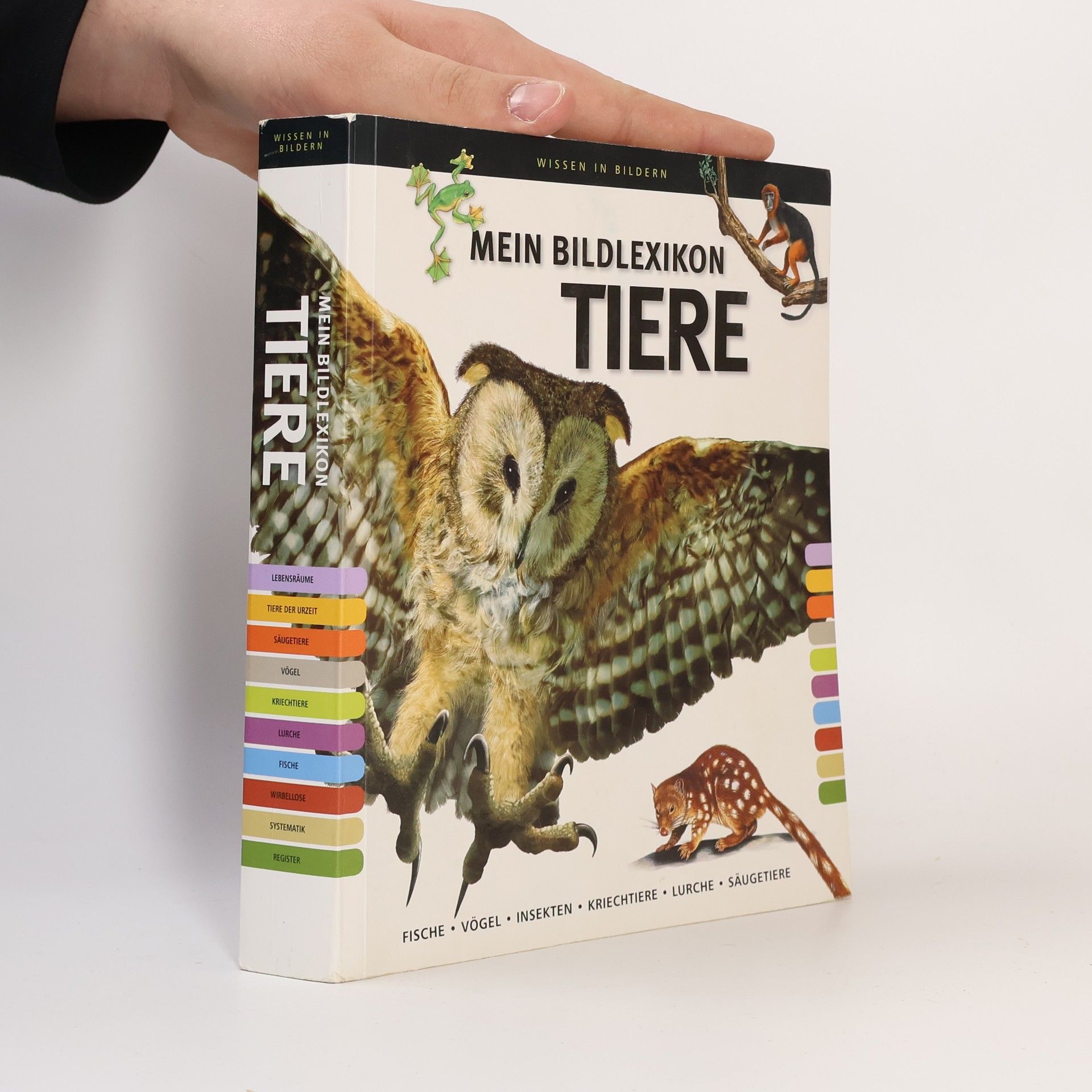 kolektiv Mein Bildlexikon Tiere