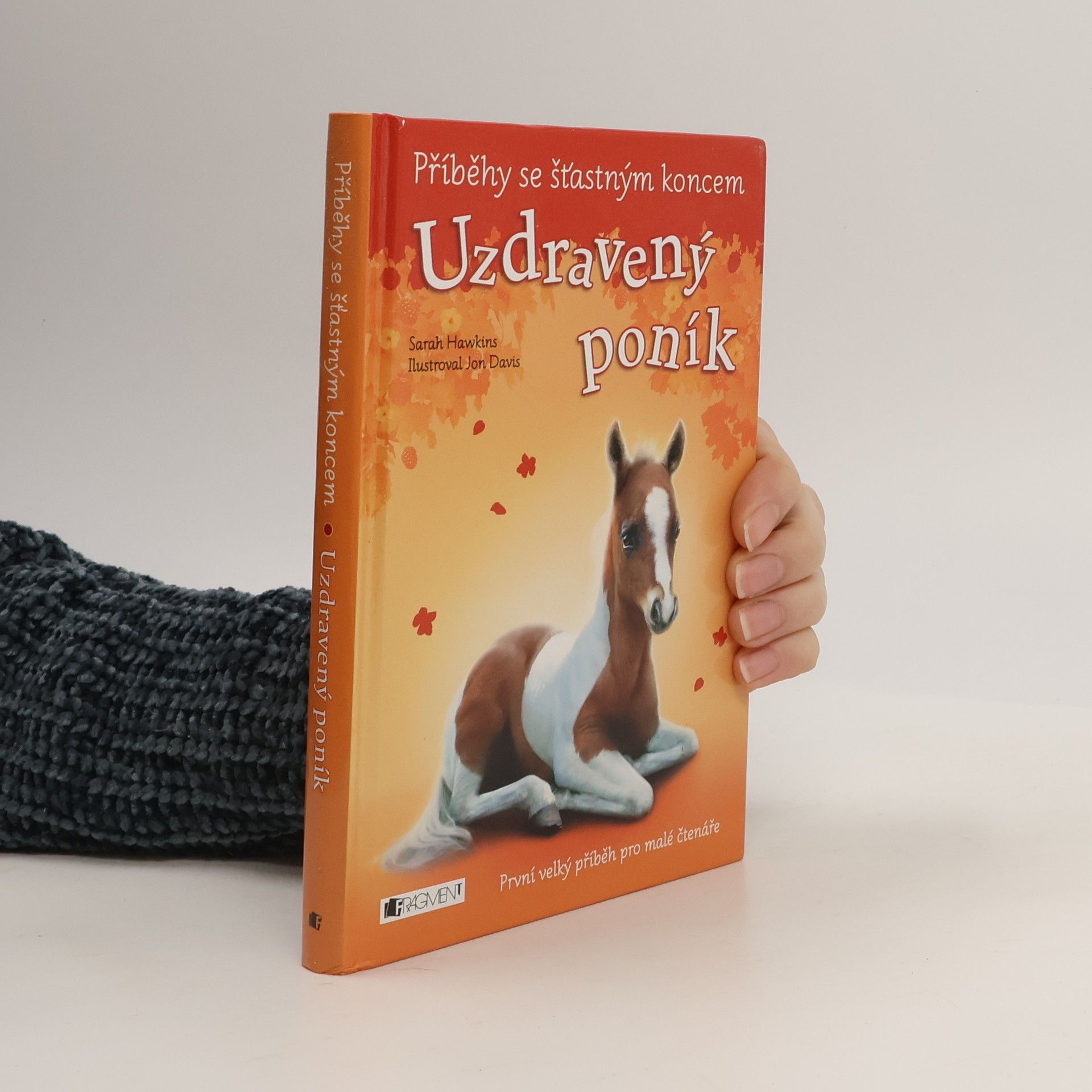 Eva Brožová Uzdravený poník