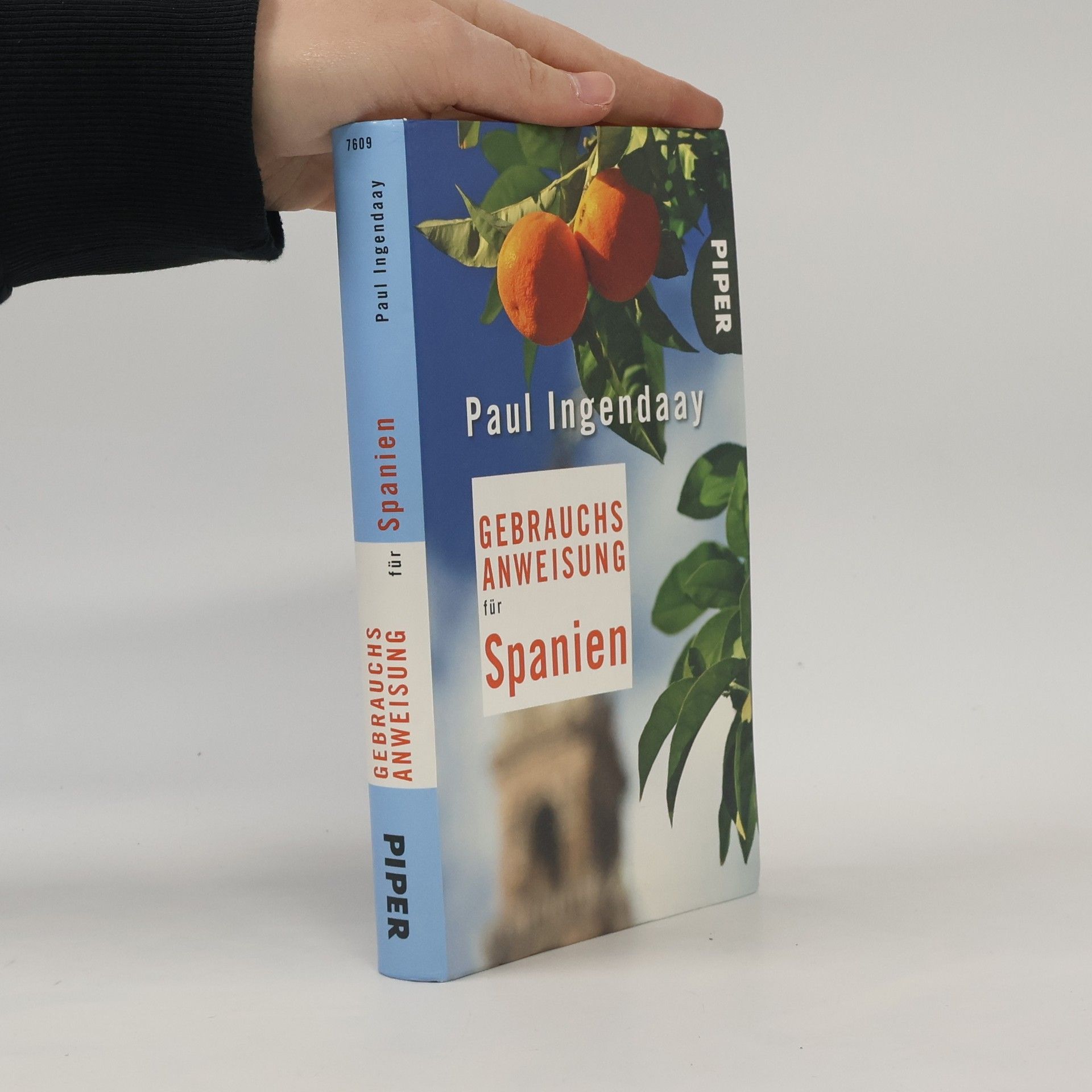 Paul Ingendaay Gebrauchsanweisung für Spanien