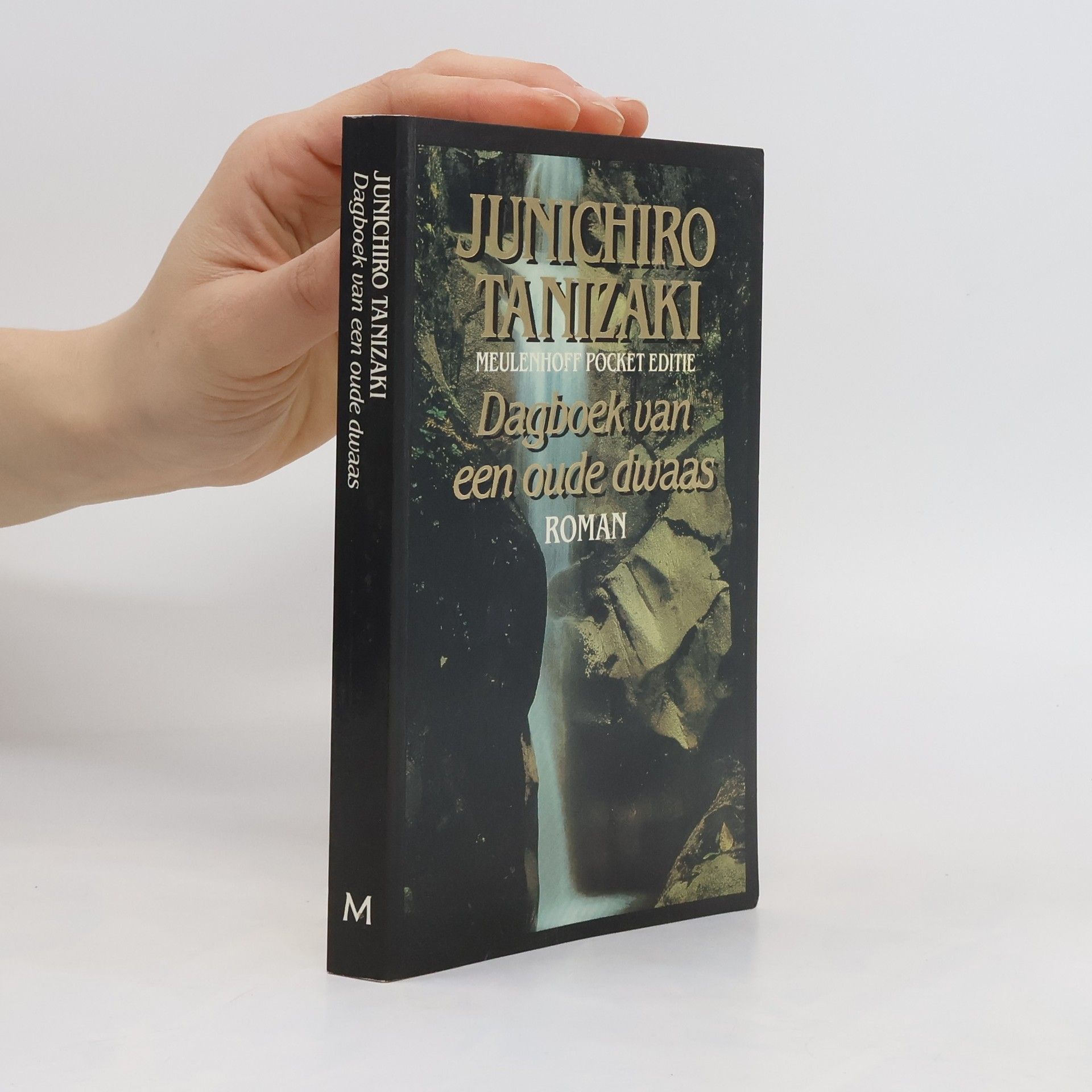 M. Countinho Dagboek van een oude dwaas