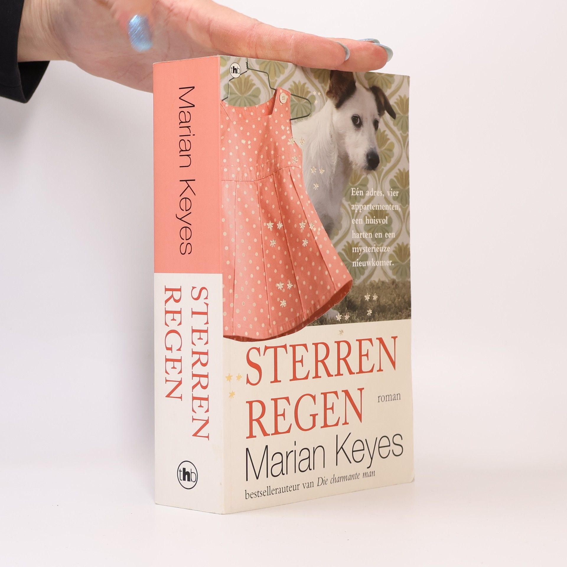 Marian Keyes Sterrenregen