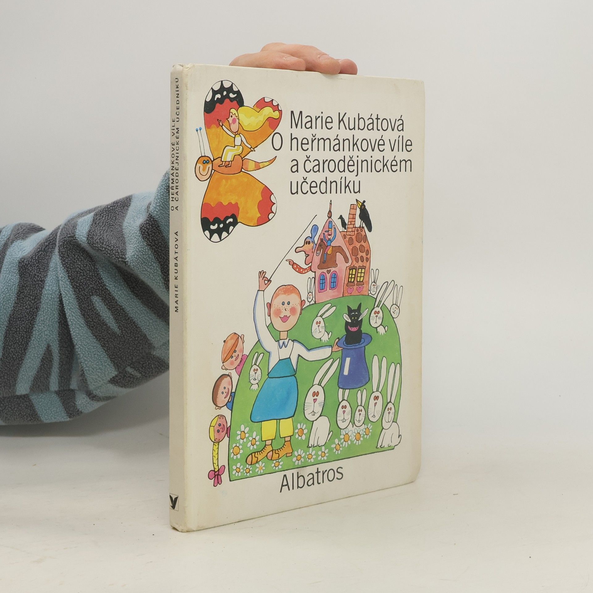 Marie Kubátová O heřmánkové víle a čarodějnickém učedníku