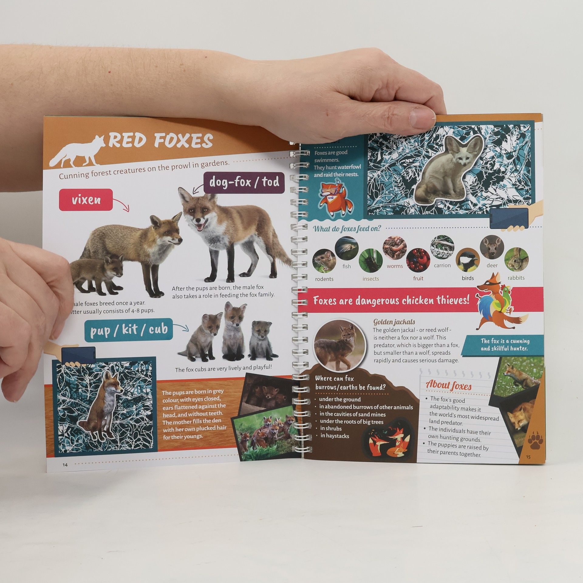 Bernadett Mosonyi Mammals in Forests