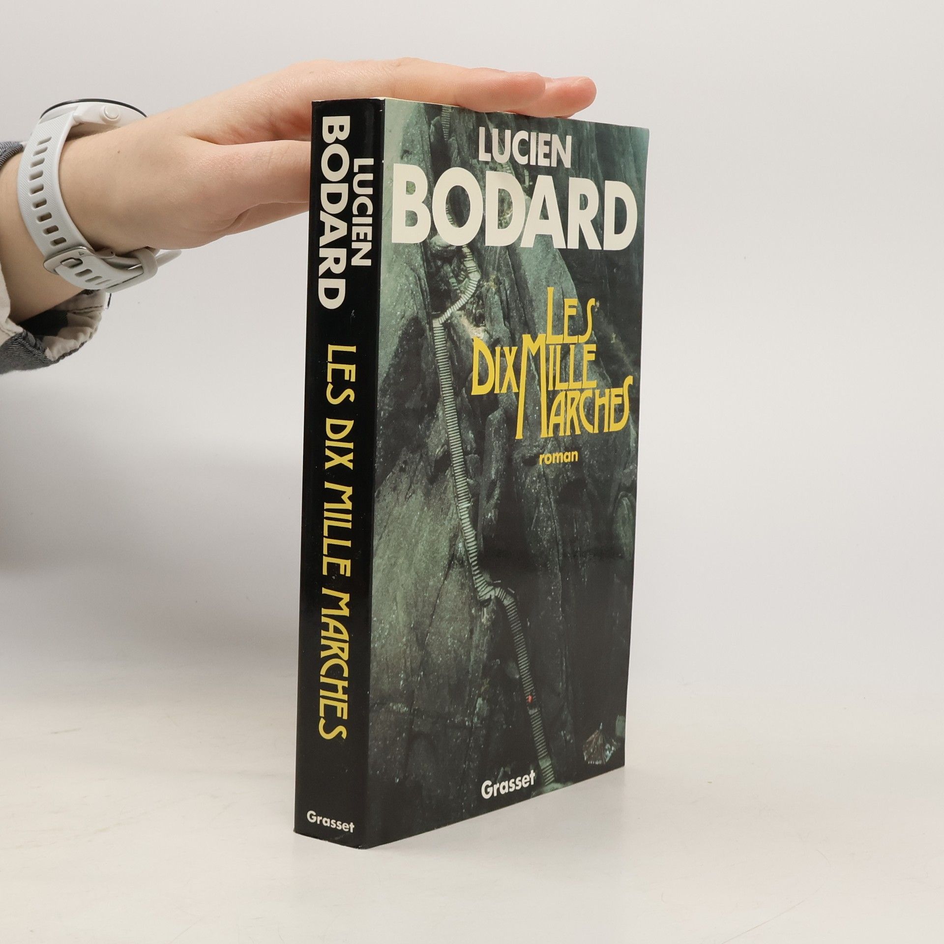 Les dix mille marches