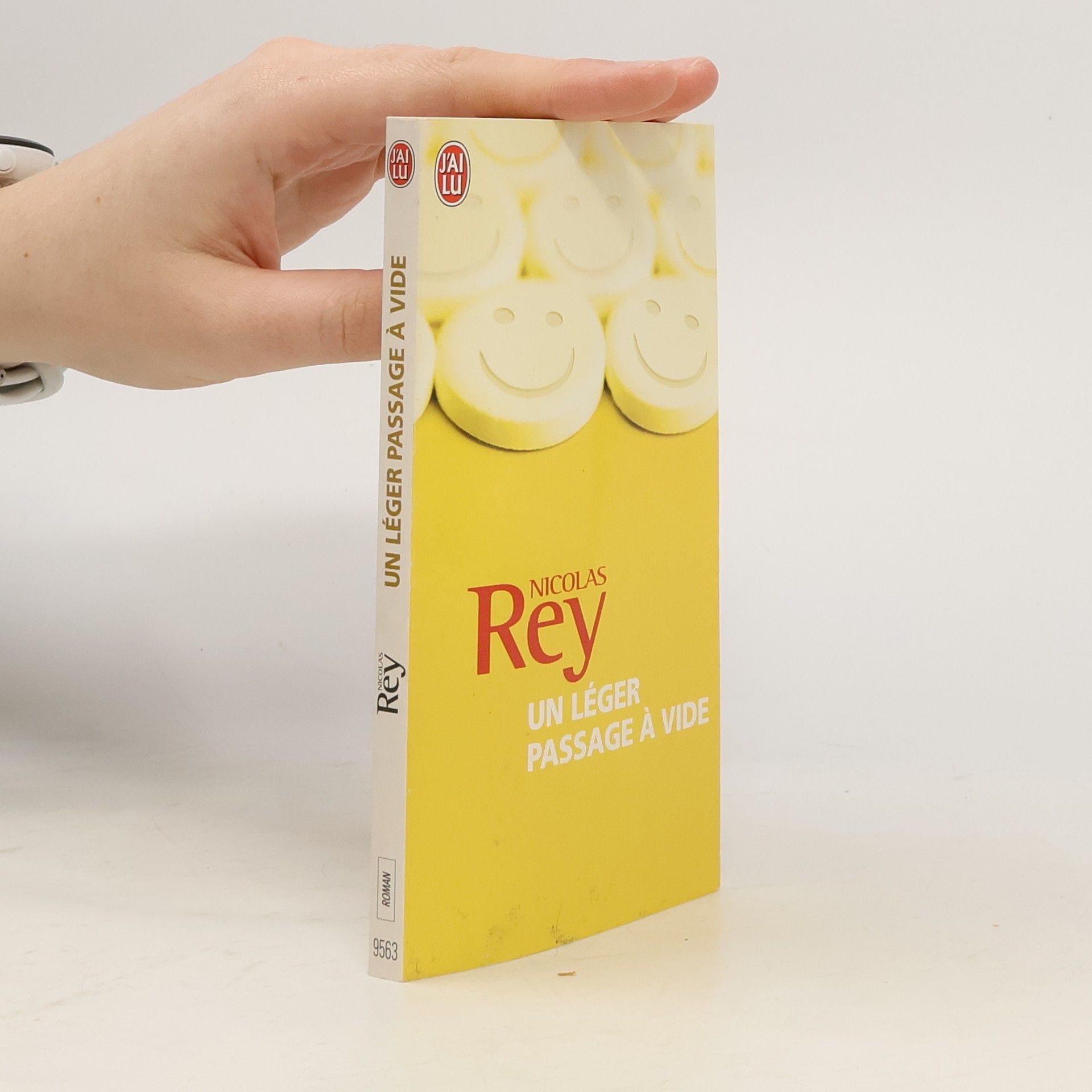 Nicolas Rey Un léger passage à vide