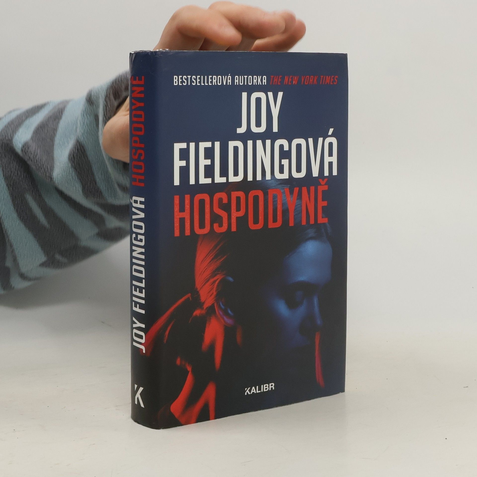 Joy Fielding Hospodyně