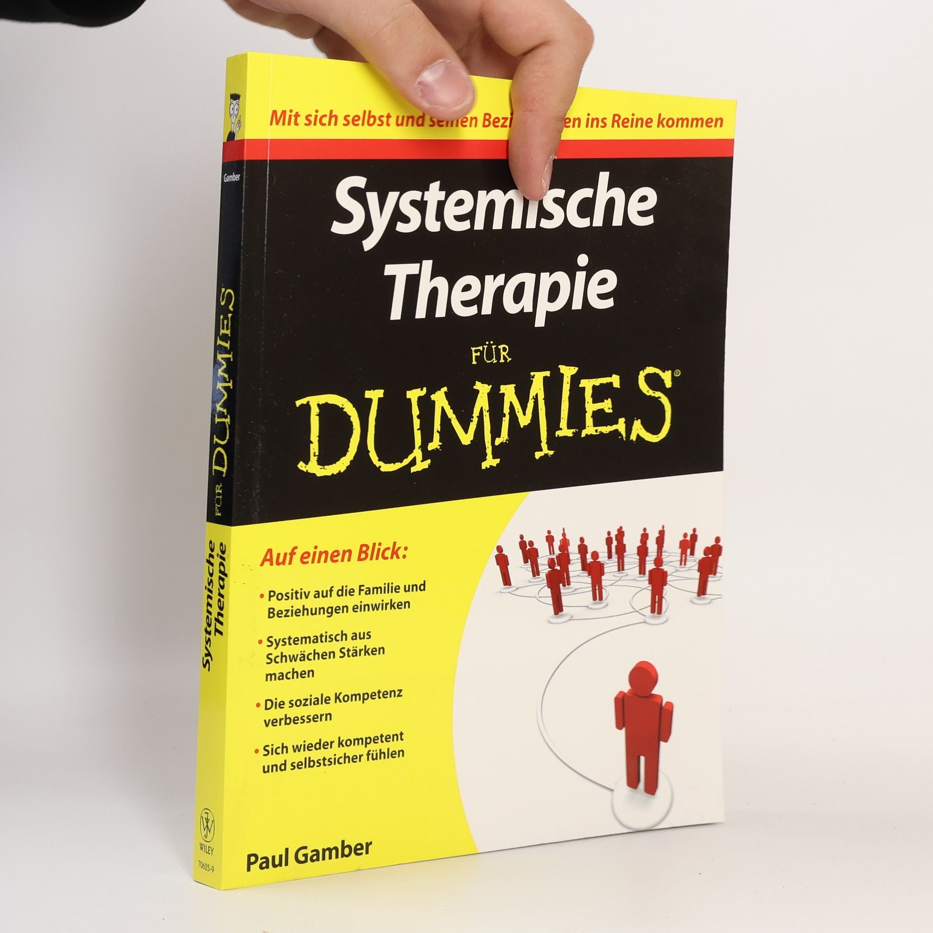 Paul Gamber Systemische Therapie für Dummies