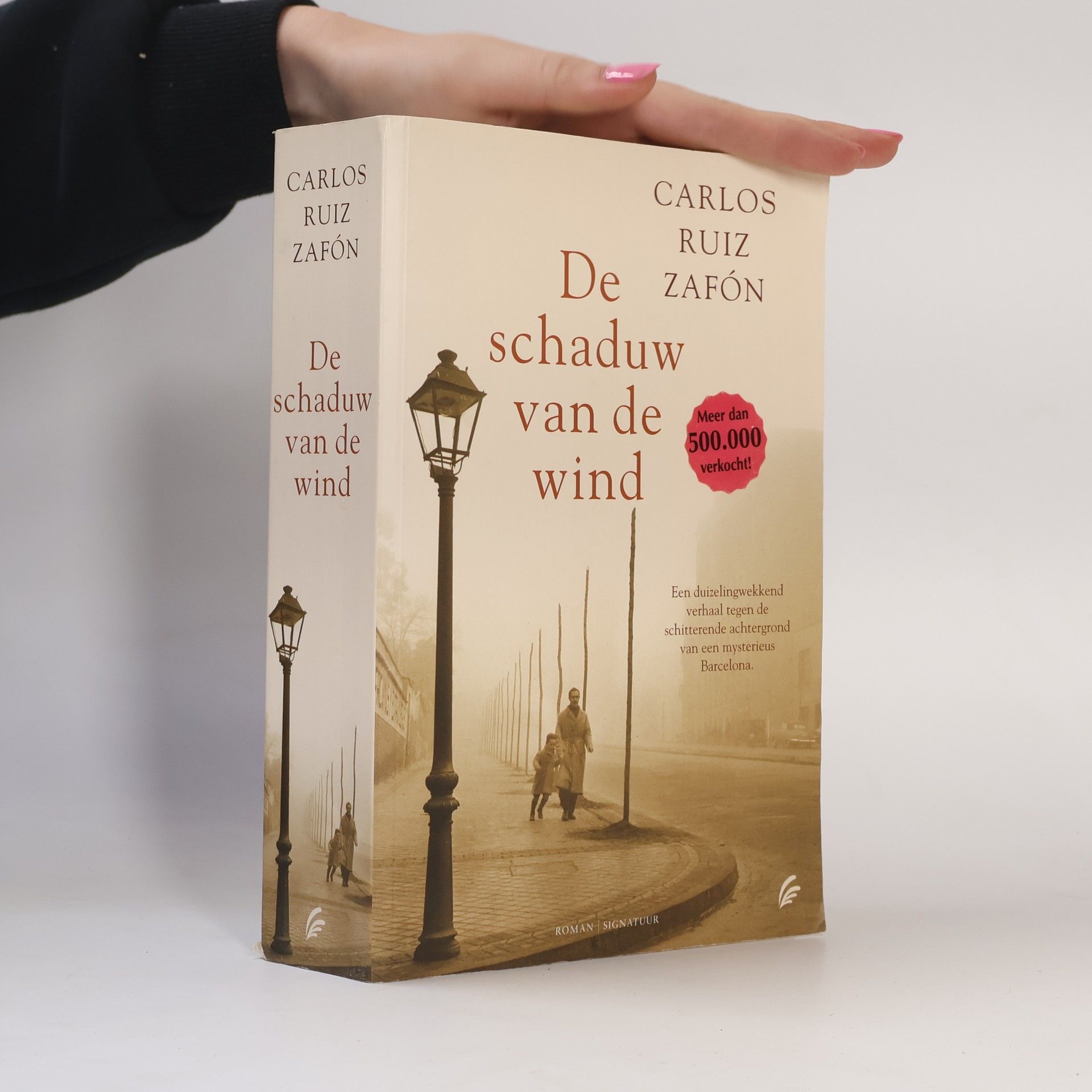 Carlos Ruiz Zafón De schaduw van de wind