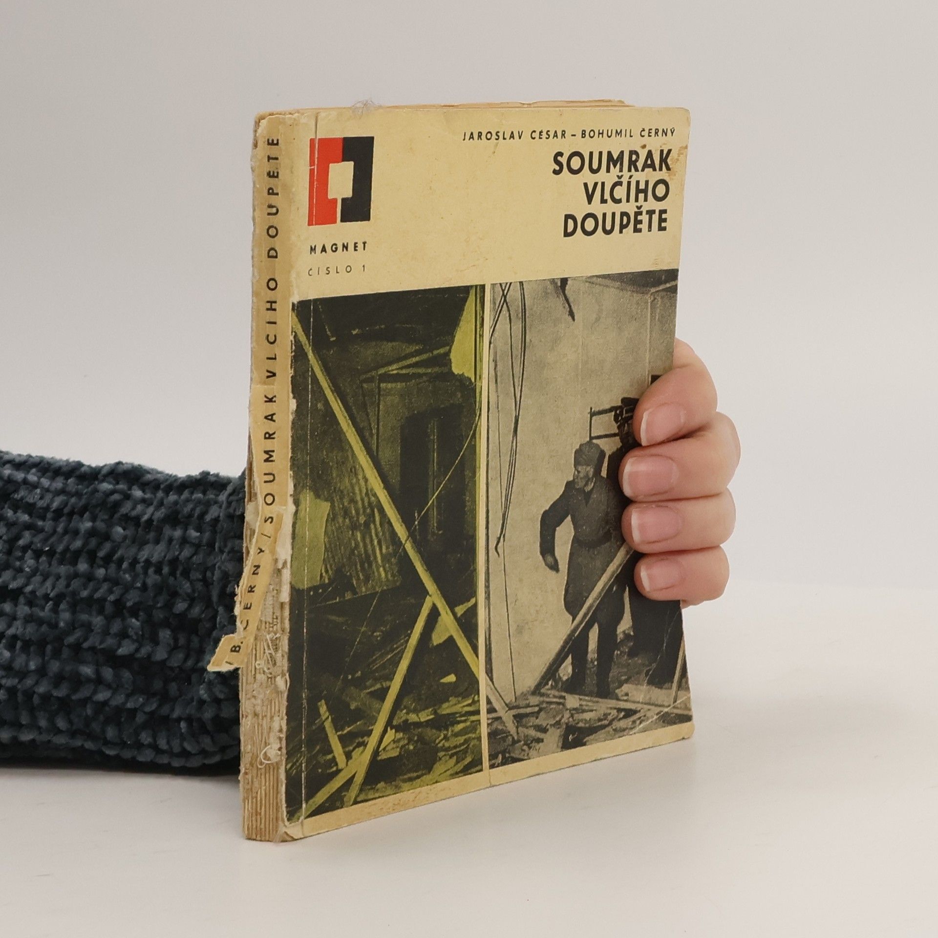 Soumrak vlčího doupěte