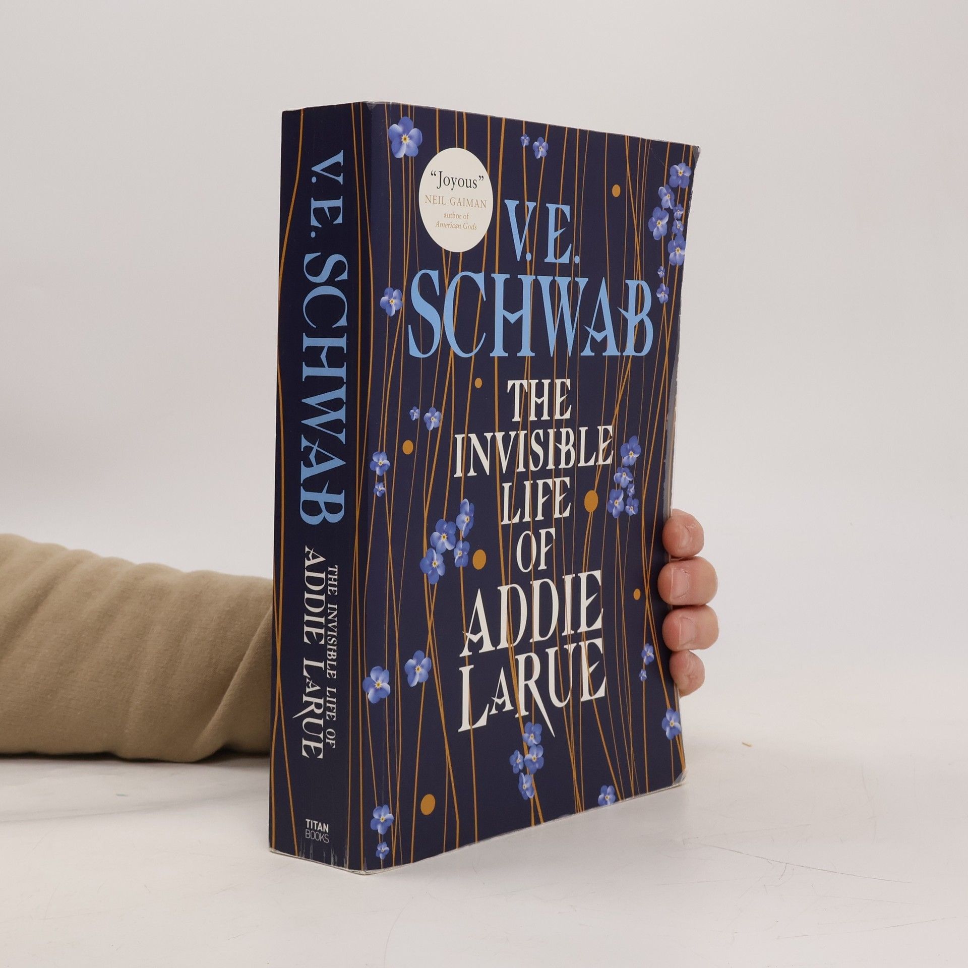 Victoria Schwab The Invisible Life of Addie Larue