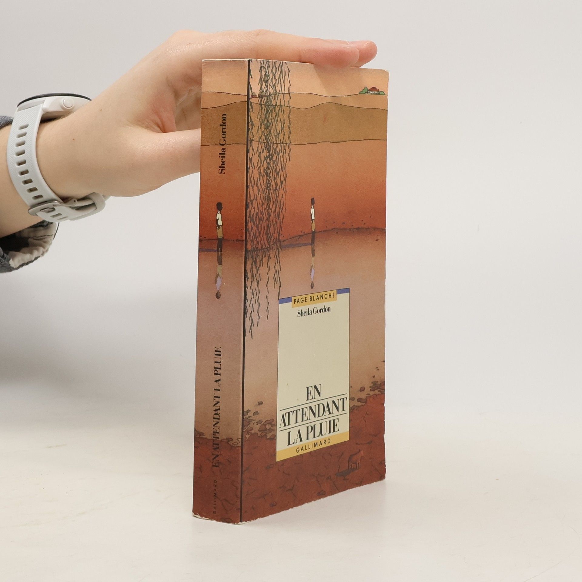 Sheila Gordon En attendant la pluie