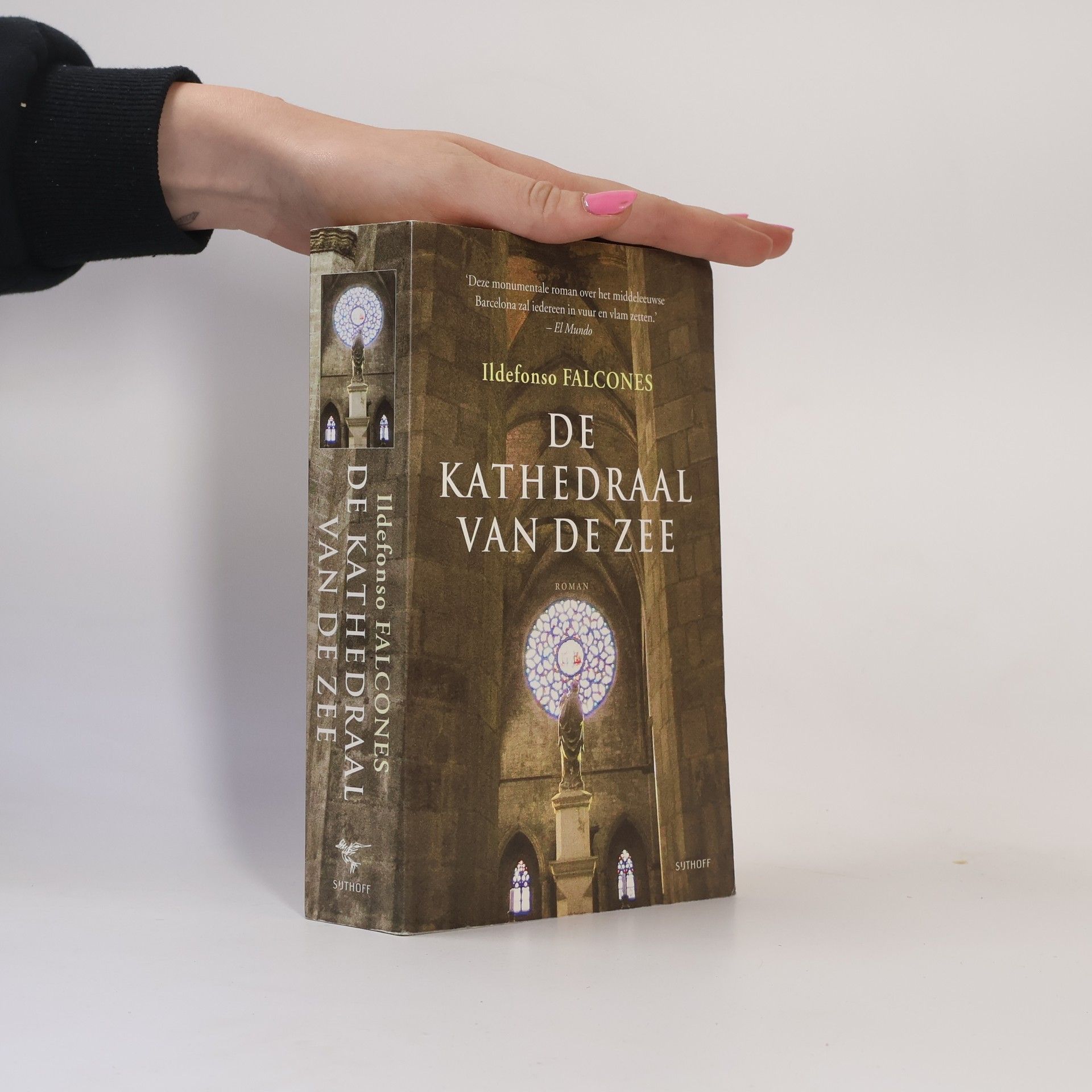 Ildefonso Falcones De kathedraal van de zee