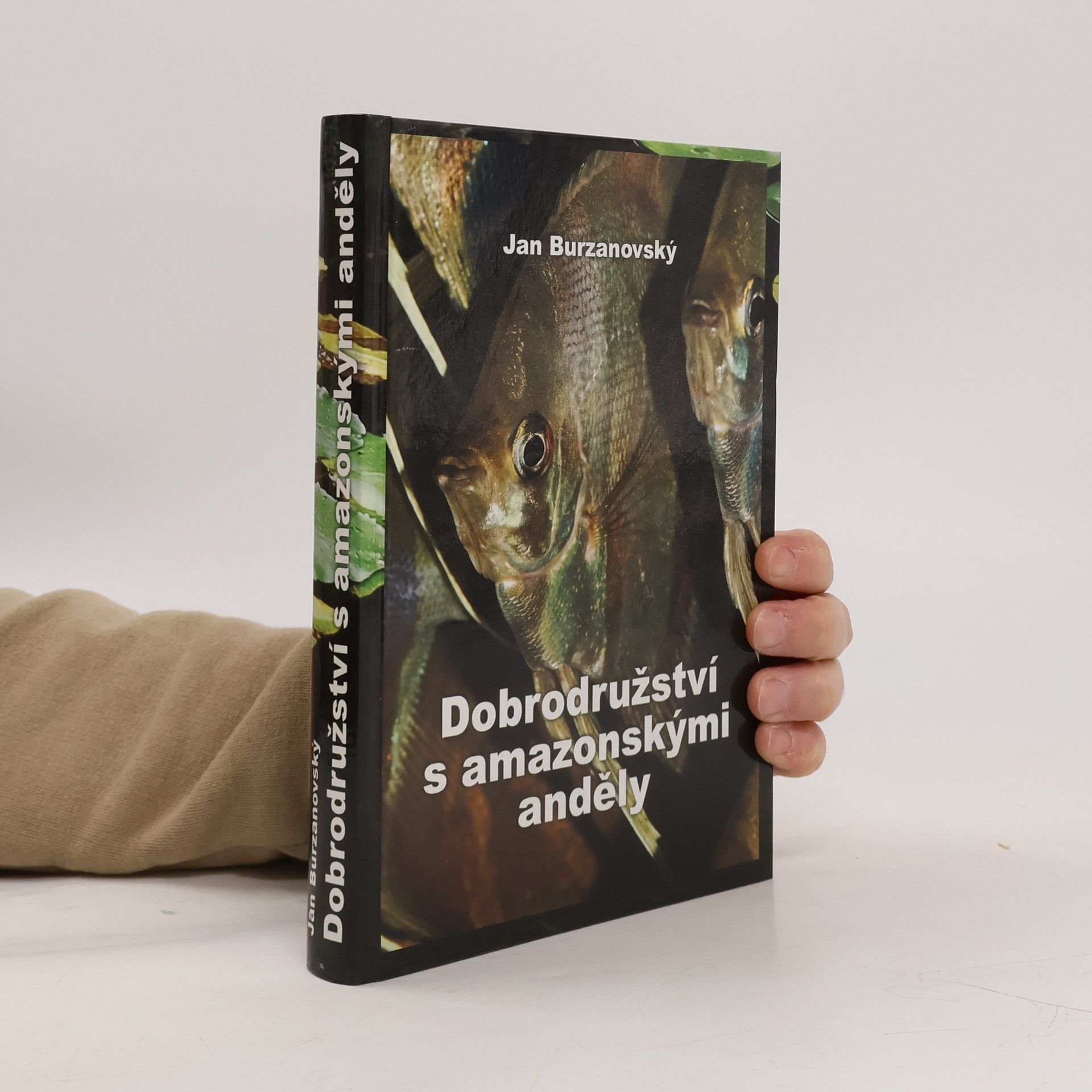 Dobrodružství s amazonskými anděly