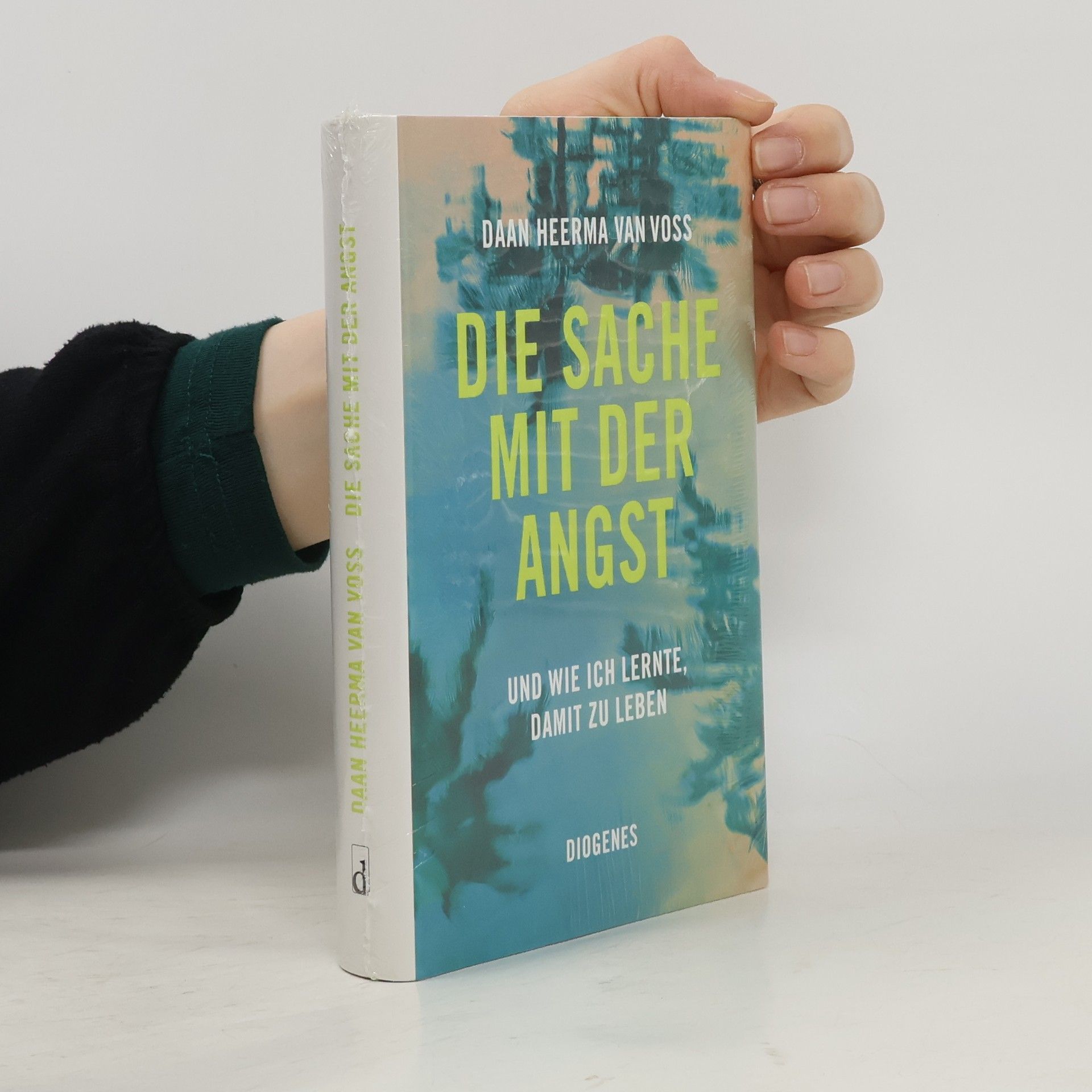 Daan Heerma van Voss Die Sache mit der Angst