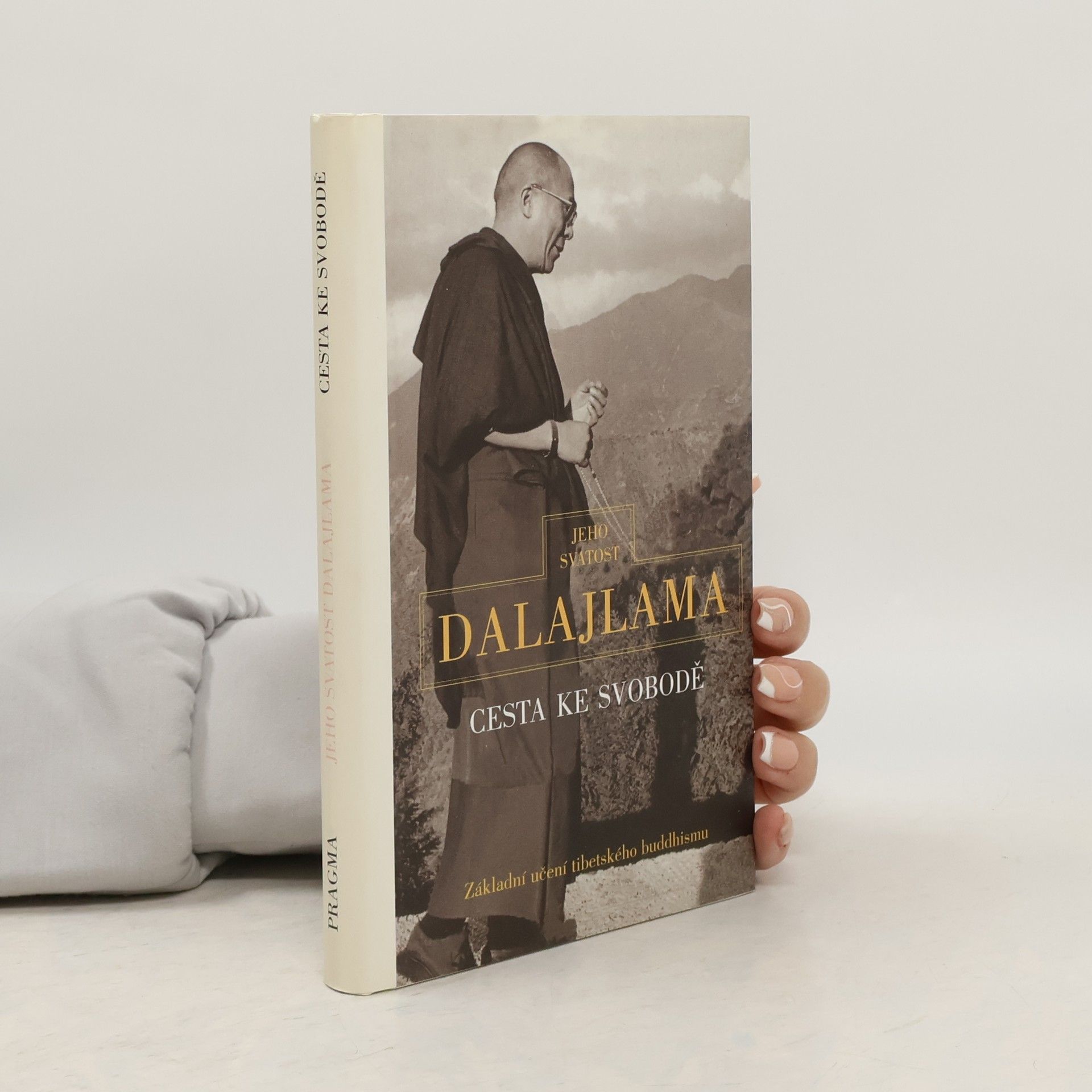 Irena Janovcová Cesta ke svobodě