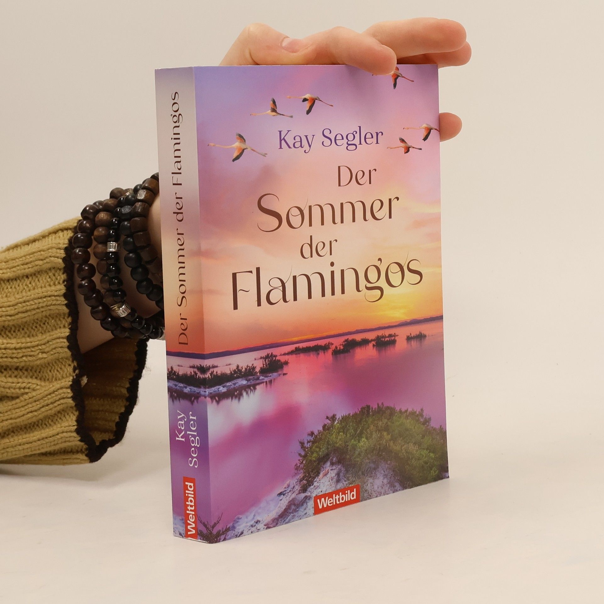 Kay Segler Der Sommer der Flamingos