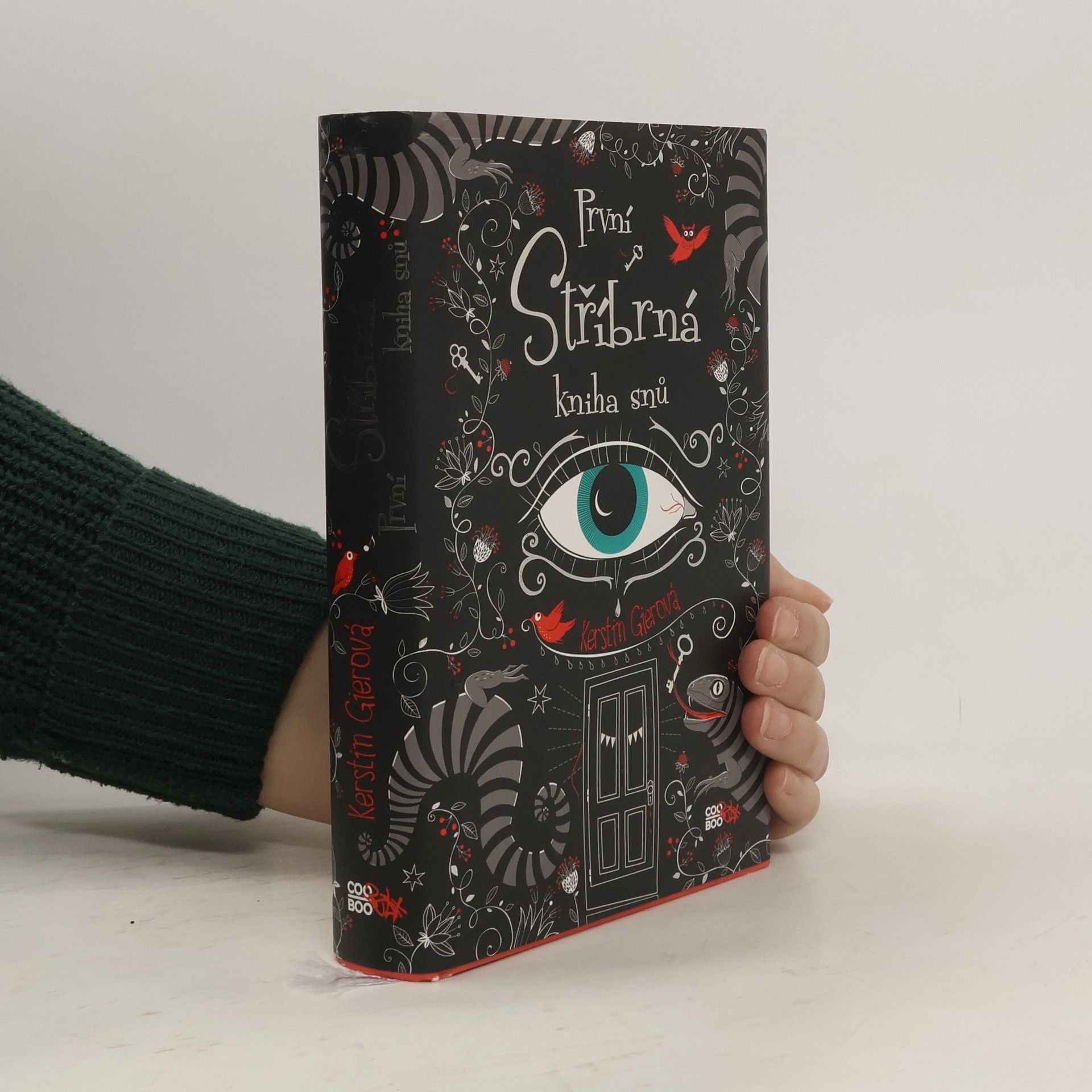 Kerstin Gier První stříbrná kniha snů