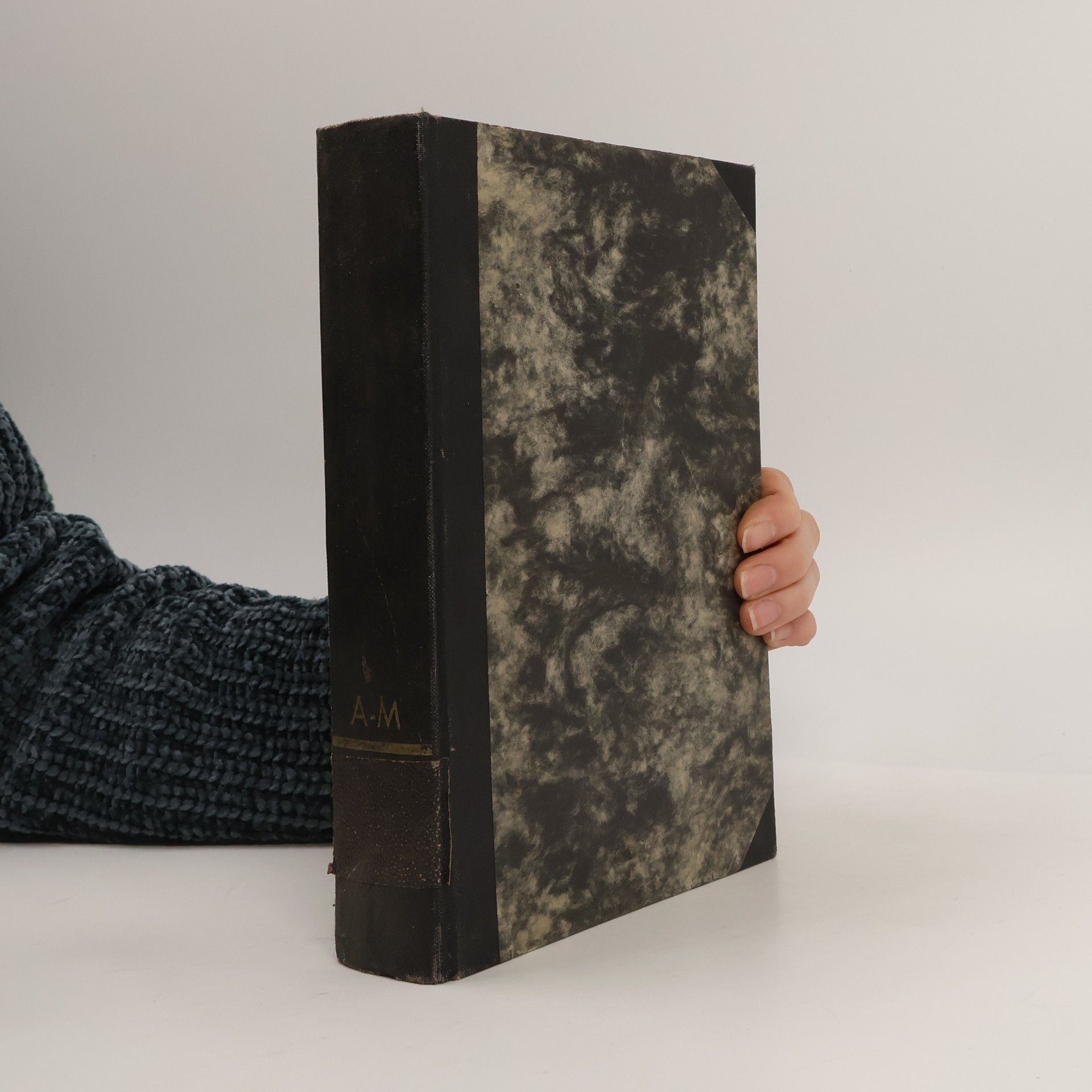 V. A. Jung Slovník anglicko-český I. díl