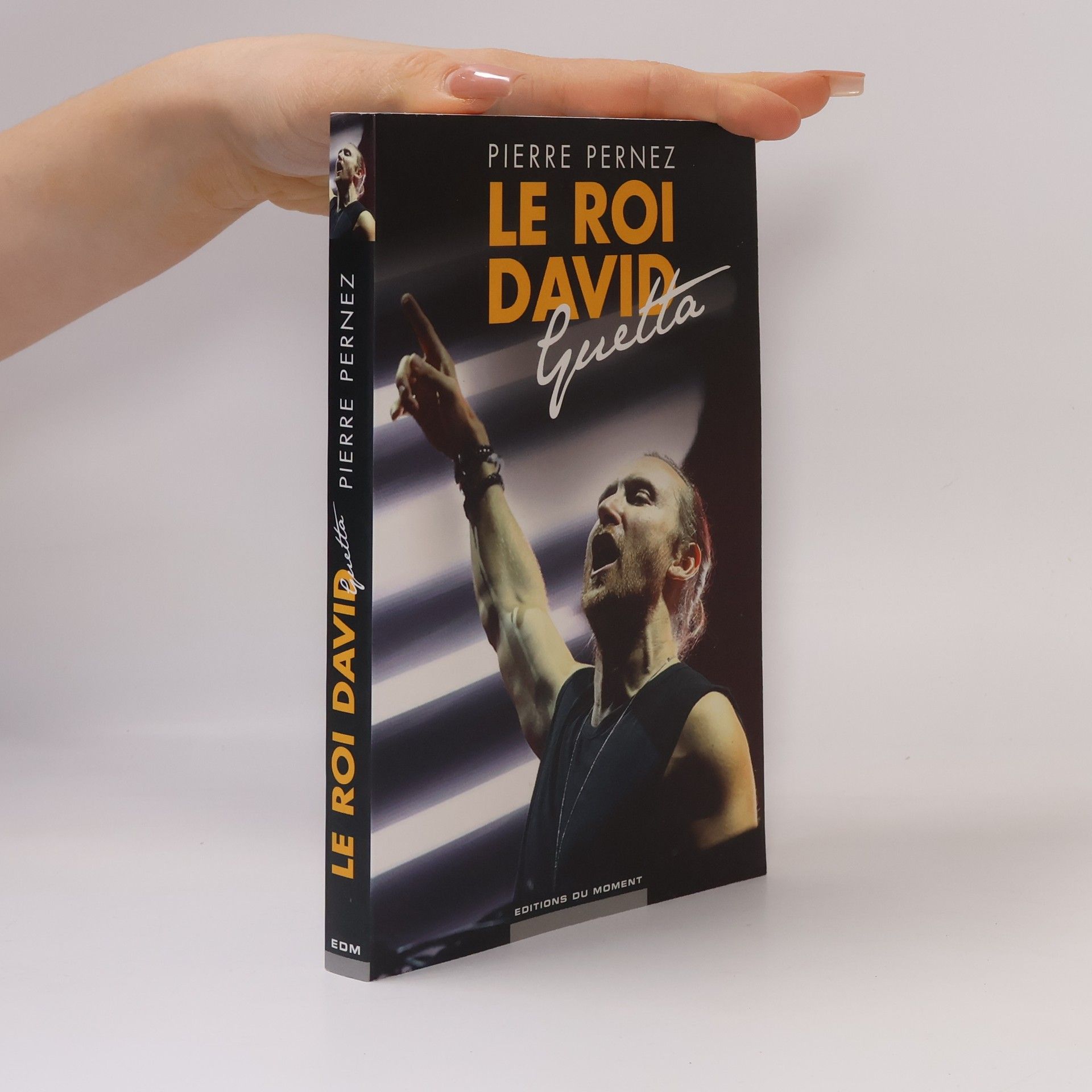 Pierre Pernez Le roi David Guetta
