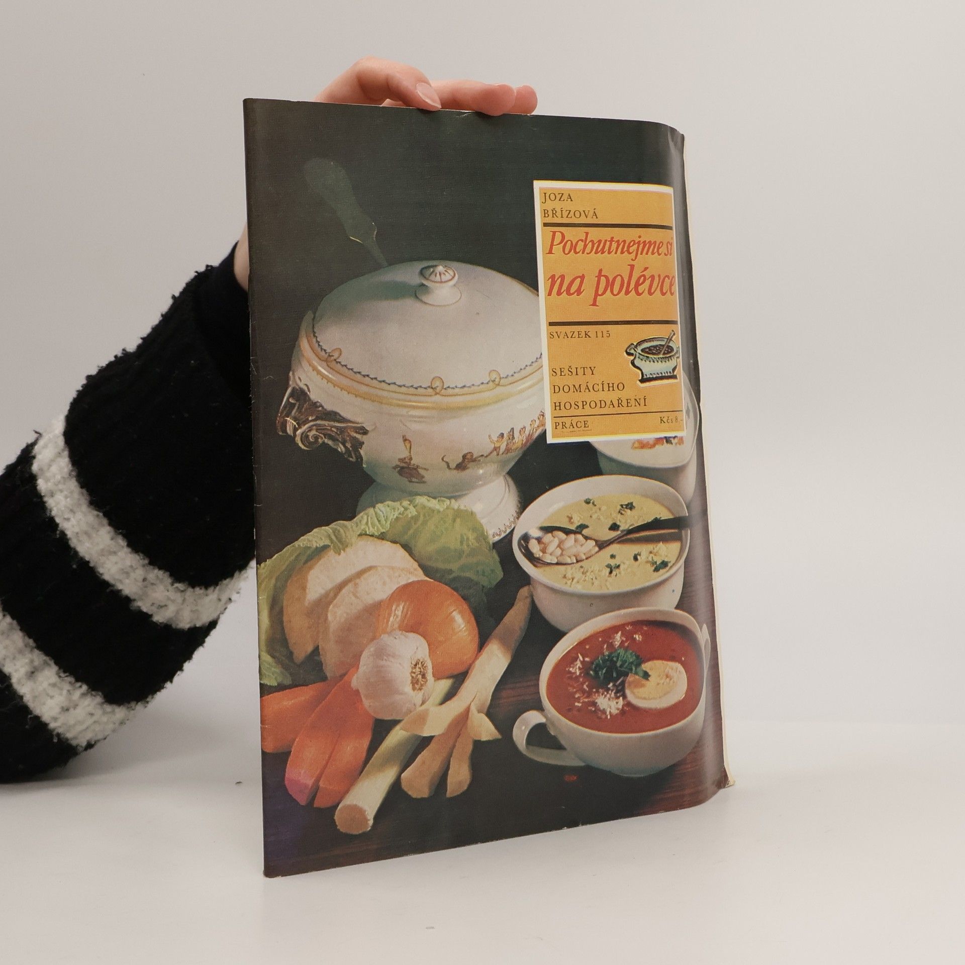 Joza Břízová Pochutnejme si na polévce