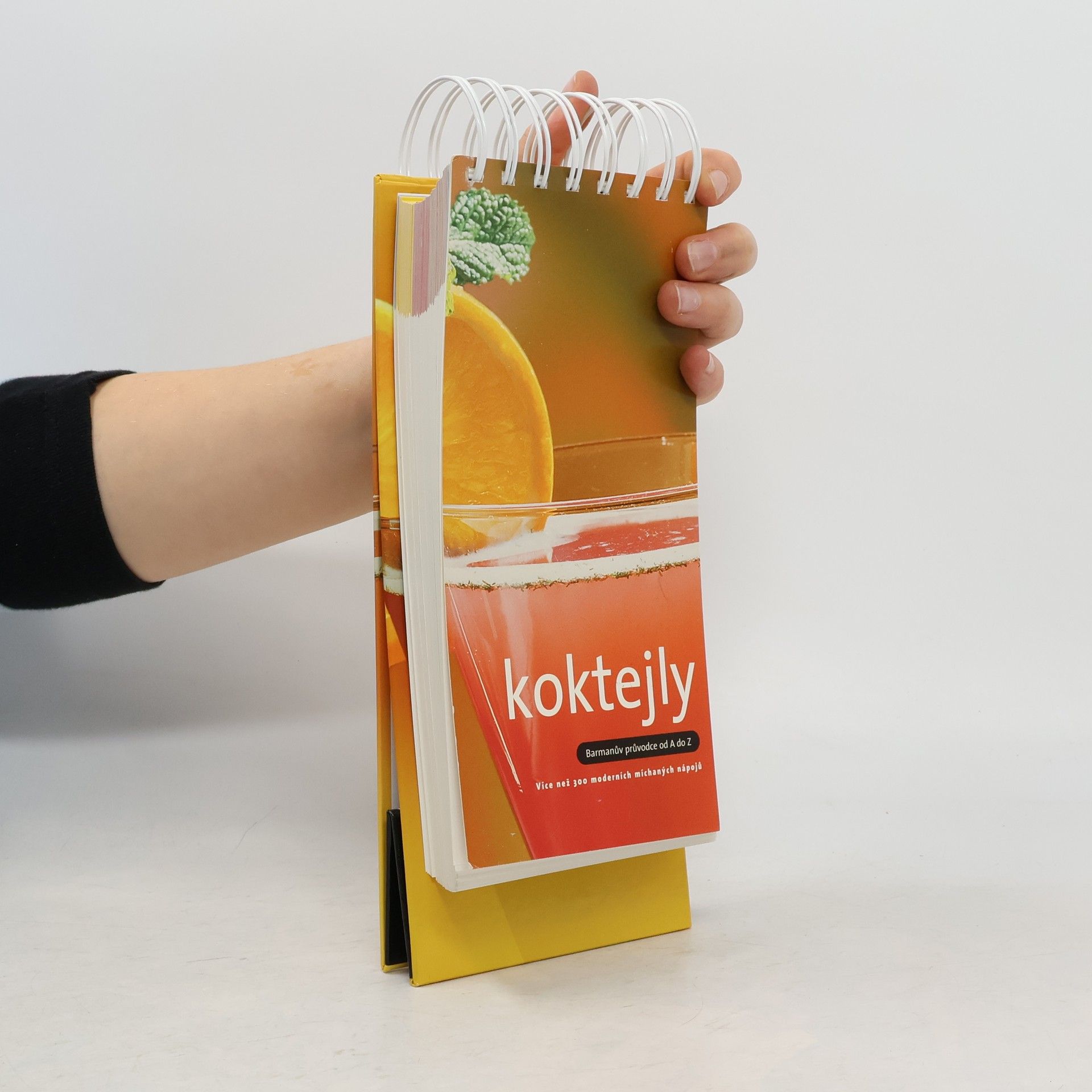 Collectif d'auteurs Koktejly. Barmanův průvodce od A do Z