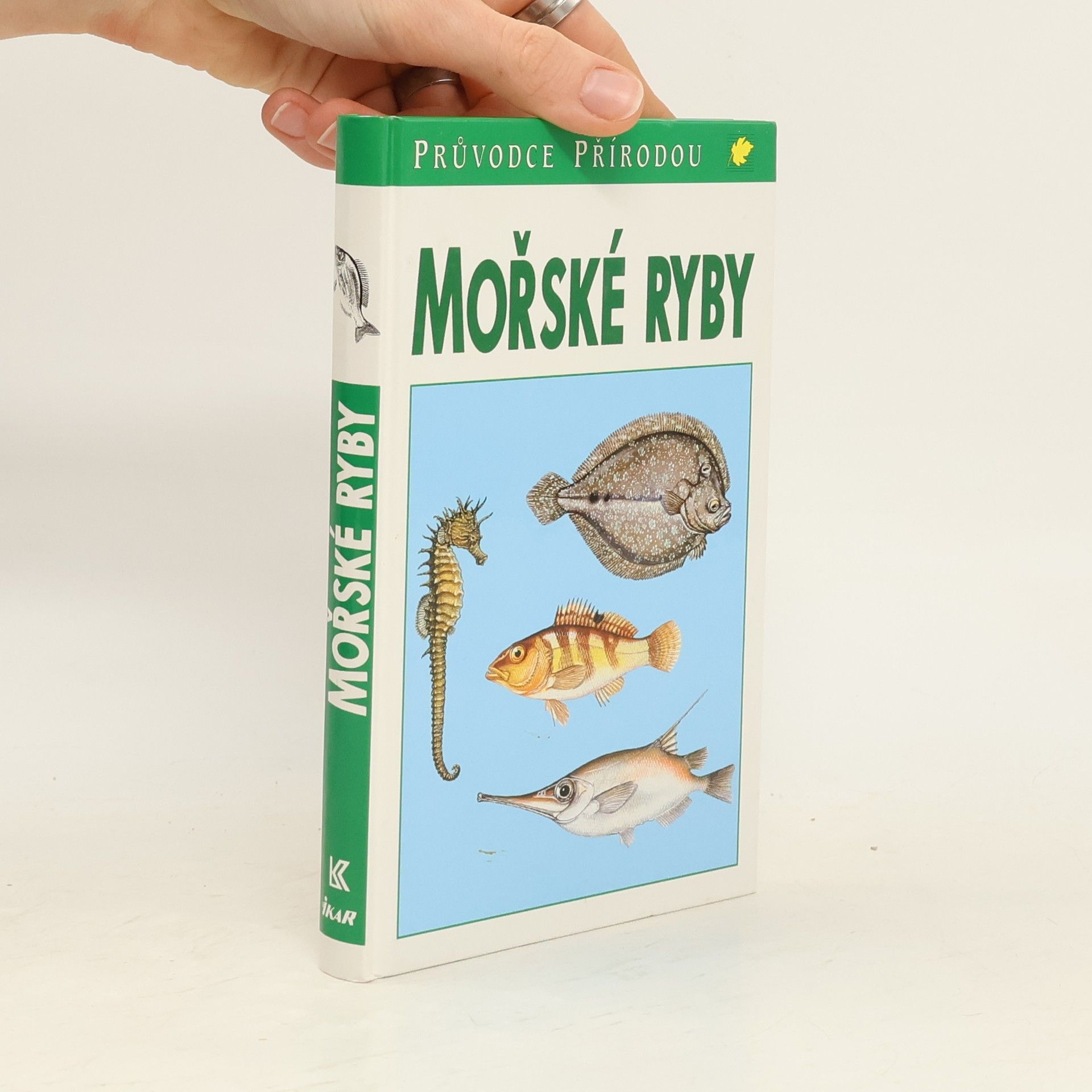 Sauer Frieder Mořské ryby v evropských vodách