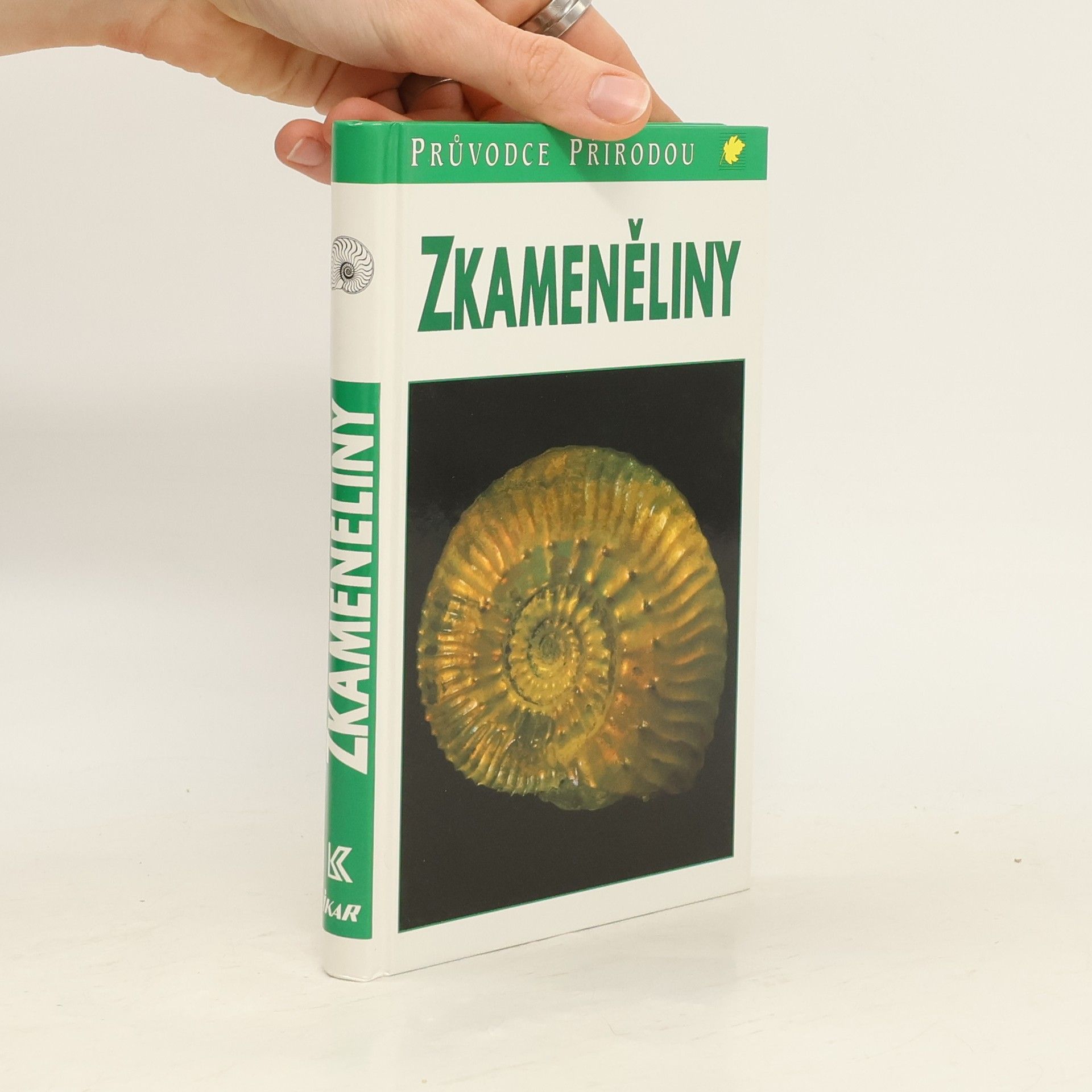 Karl Beurlen Zkameněliny