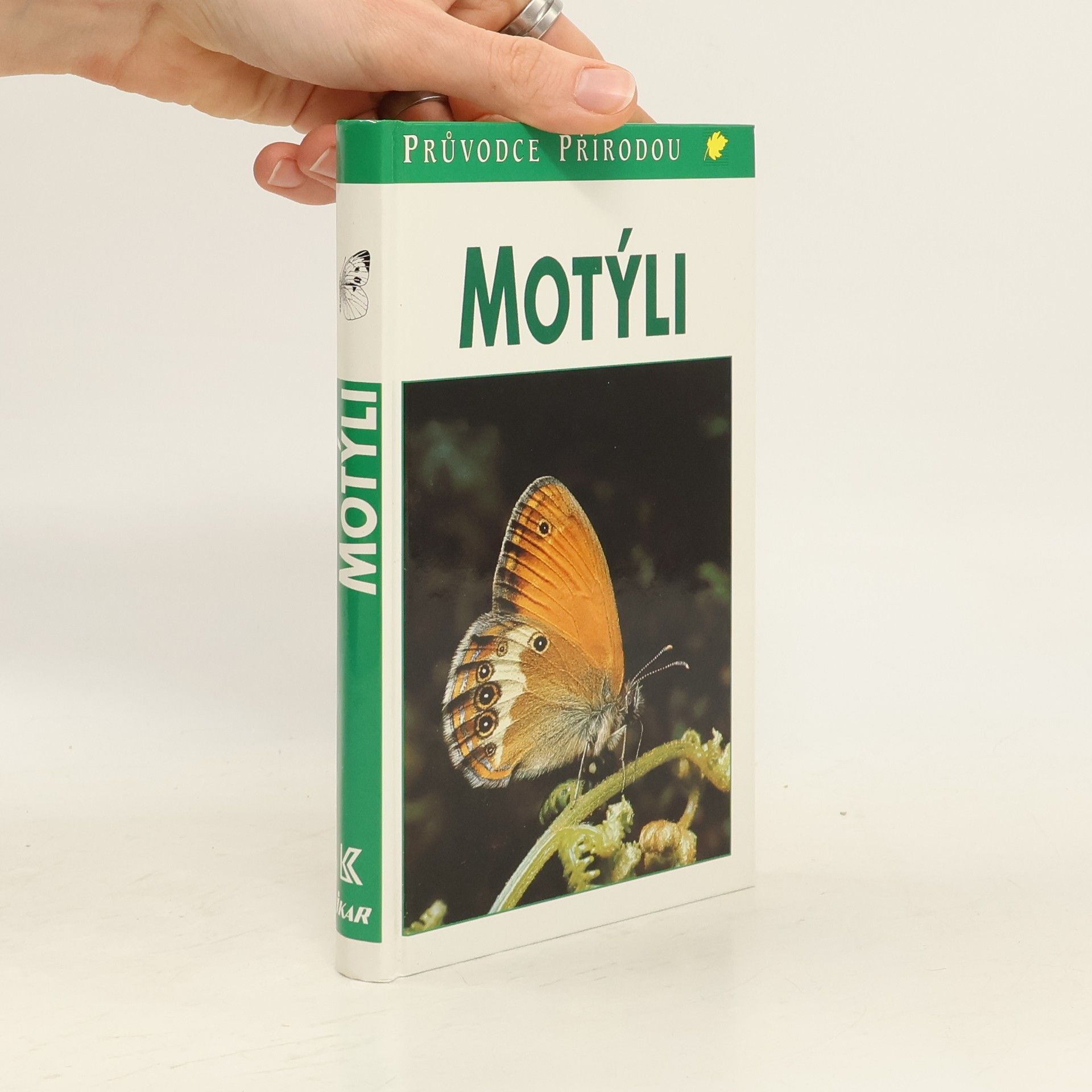 Helgard Reichholf Riehm Motýli