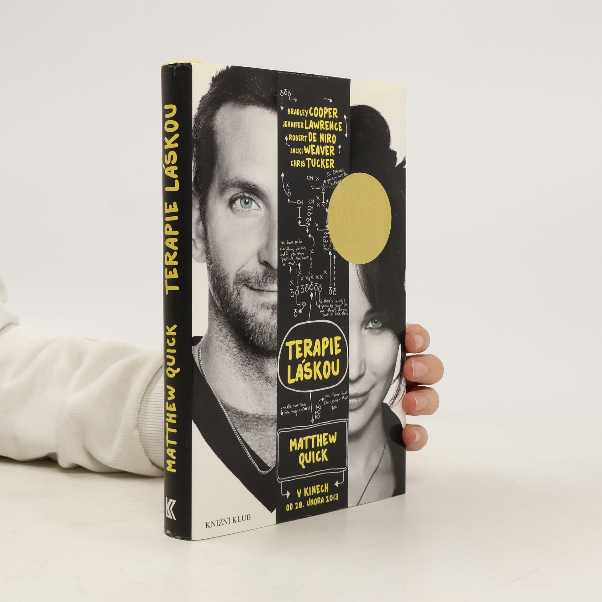 Matthew Quick Terapie láskou