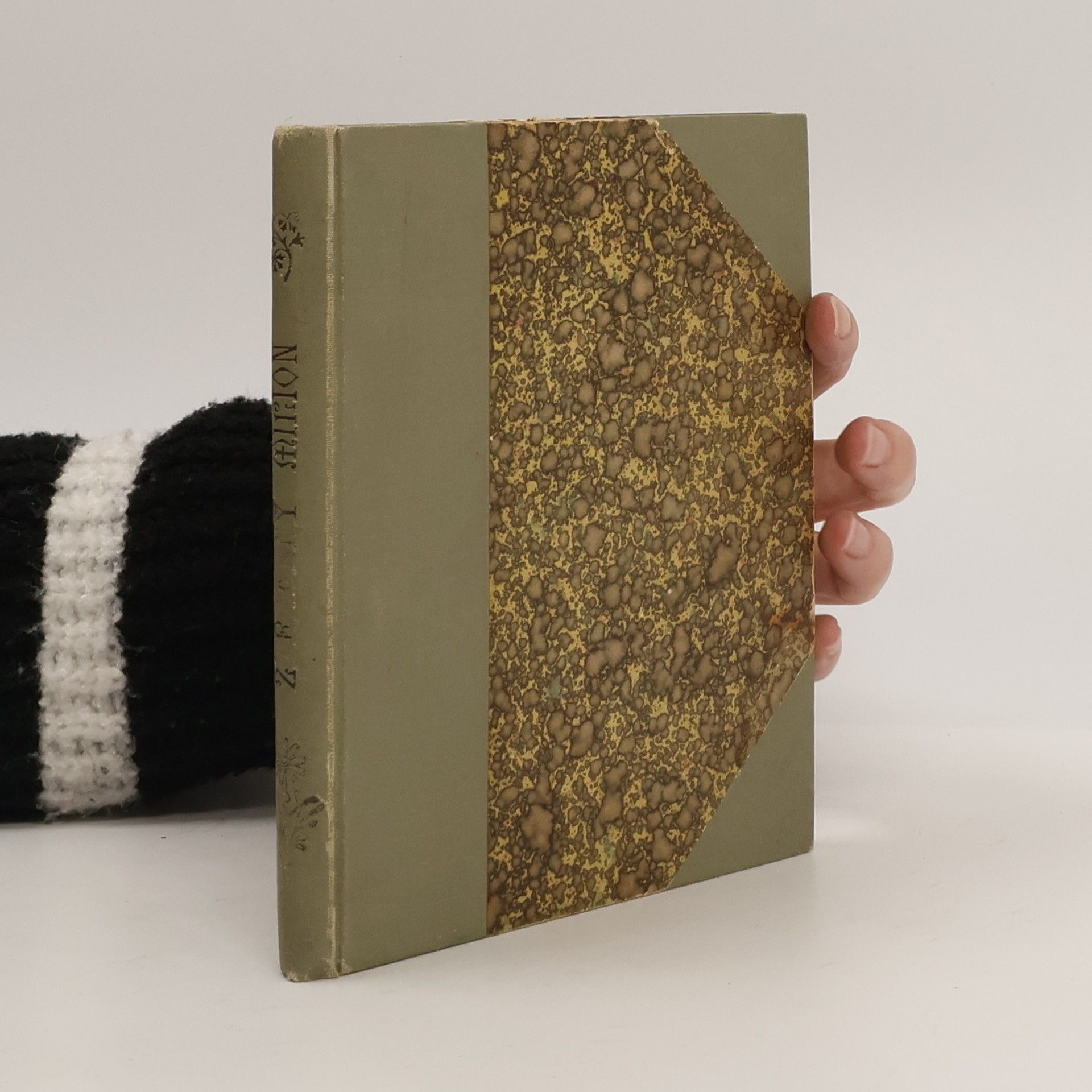 Alouis Bořita Ztracený milion