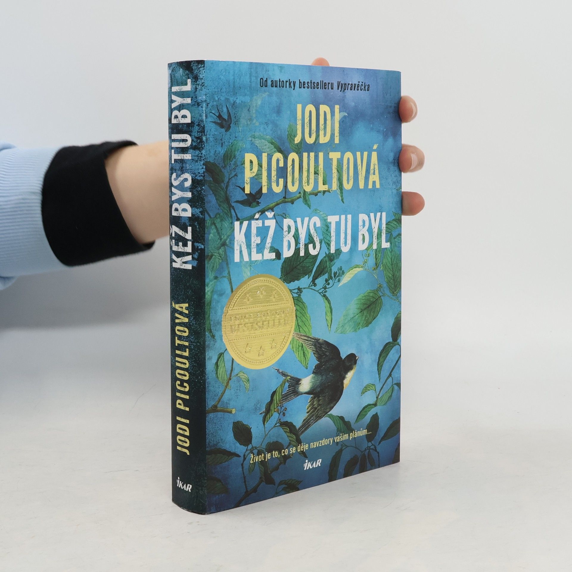 Jodi Picoult Kéž bys tu byl