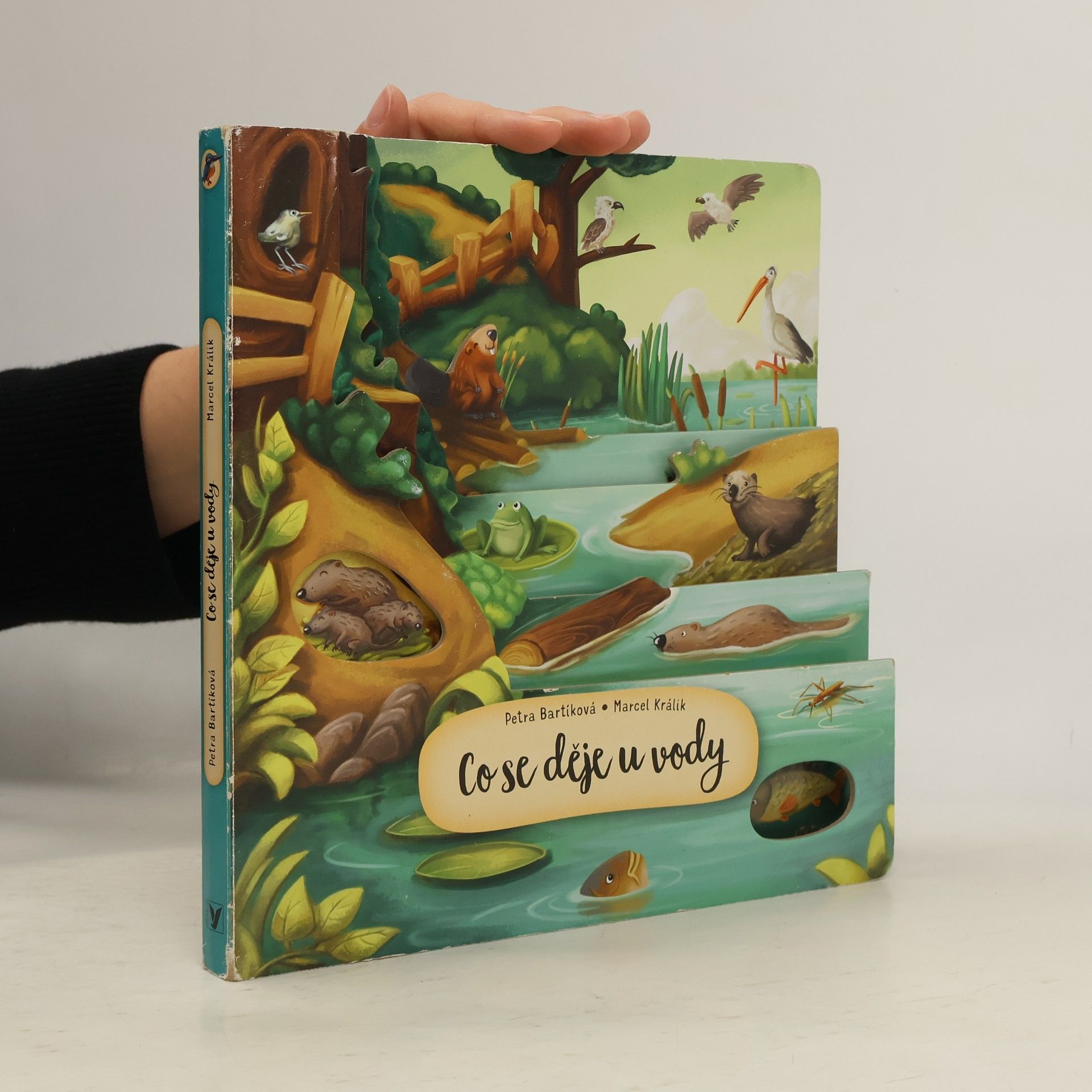 Petra Bartíková Co se děje u vody