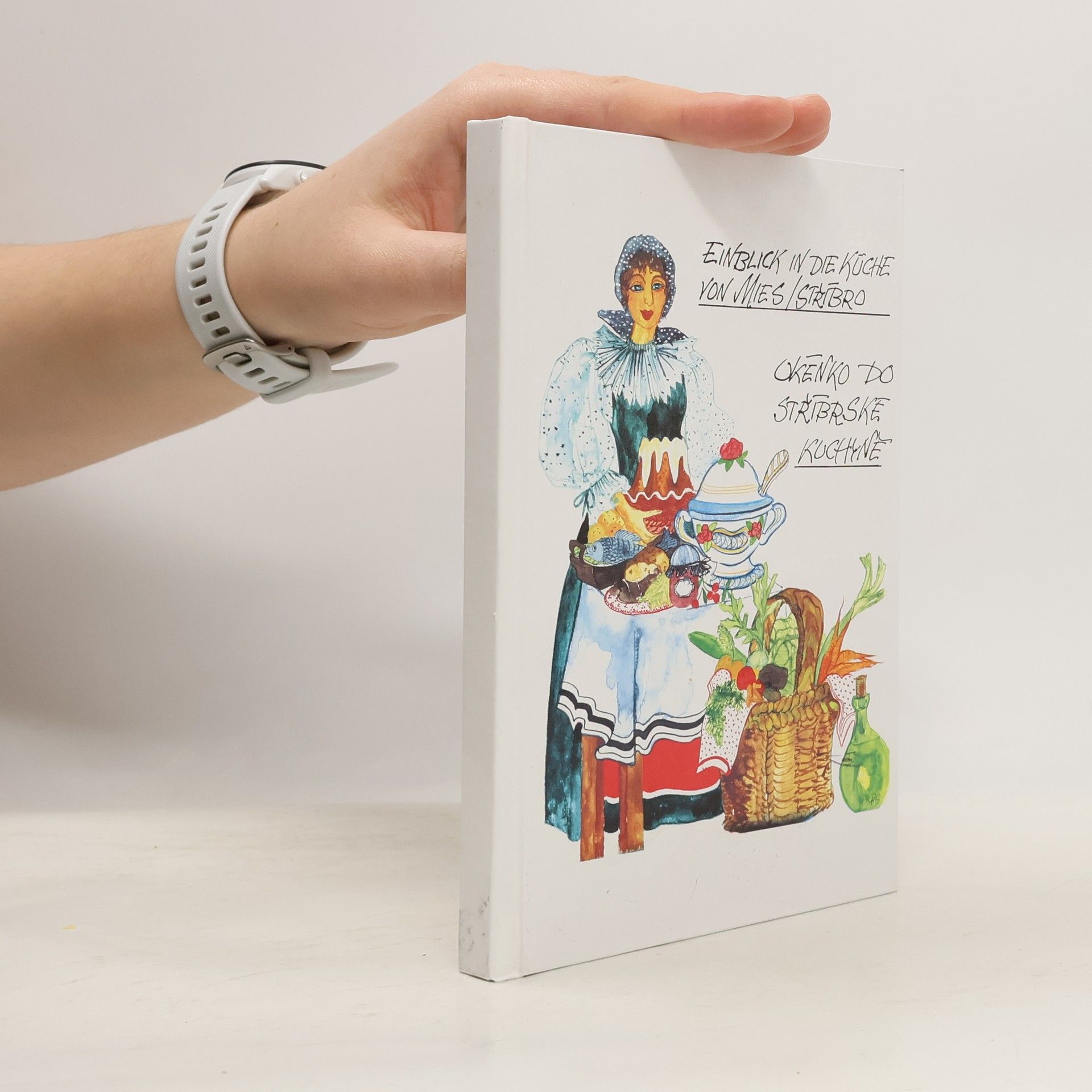 Milena Steinerová Einblick in die Küche von Mies, Stříbro