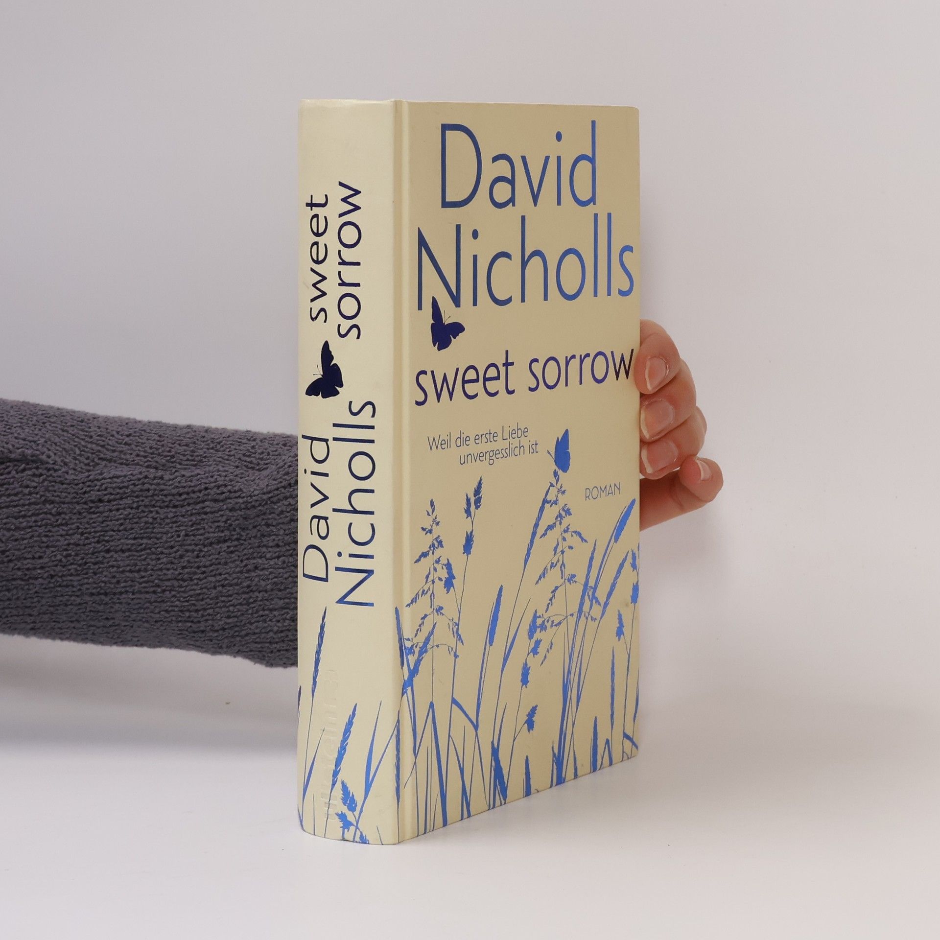 David Nicholls Sweet Sorrow