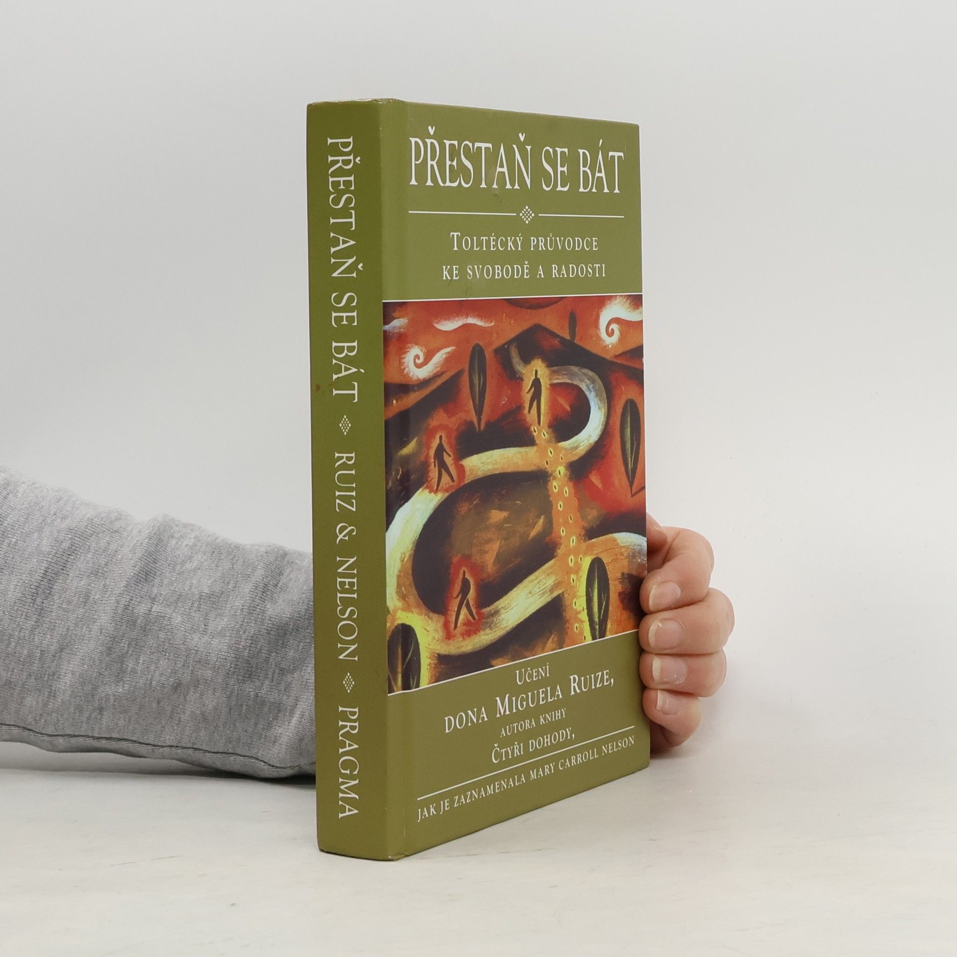 Mary Carroll Nelson Přestaň se bát
