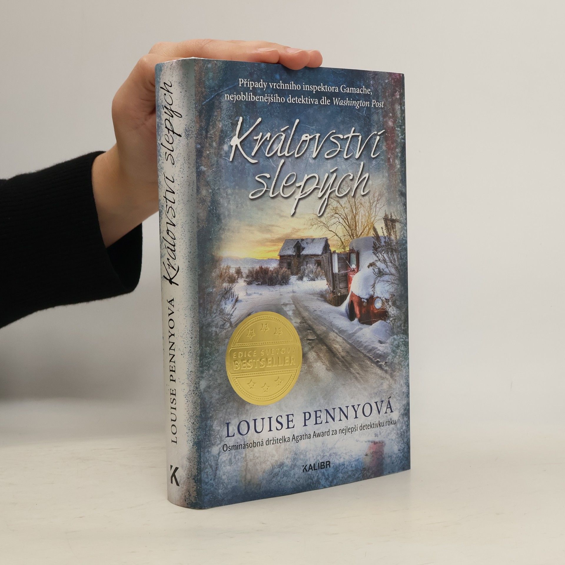 Louise Penny Království slepých