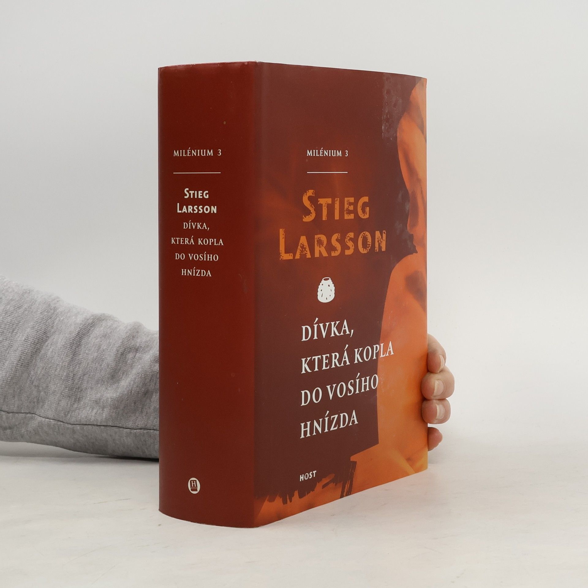 Stieg Larsson Dívka, která kopla do vosího hnízda