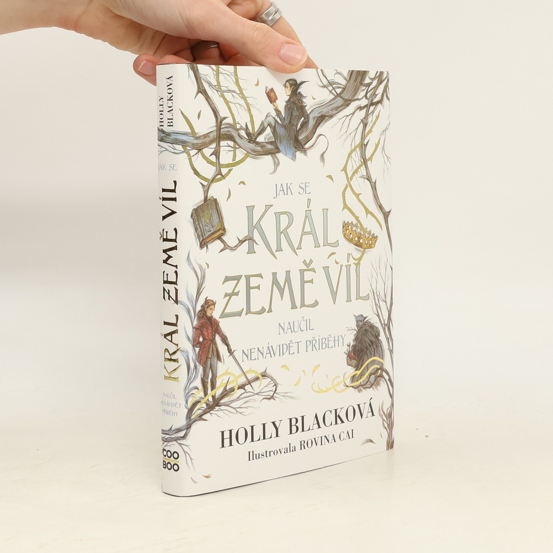 Holly Black Jak se král Země víl naučil nenávidět příběhy