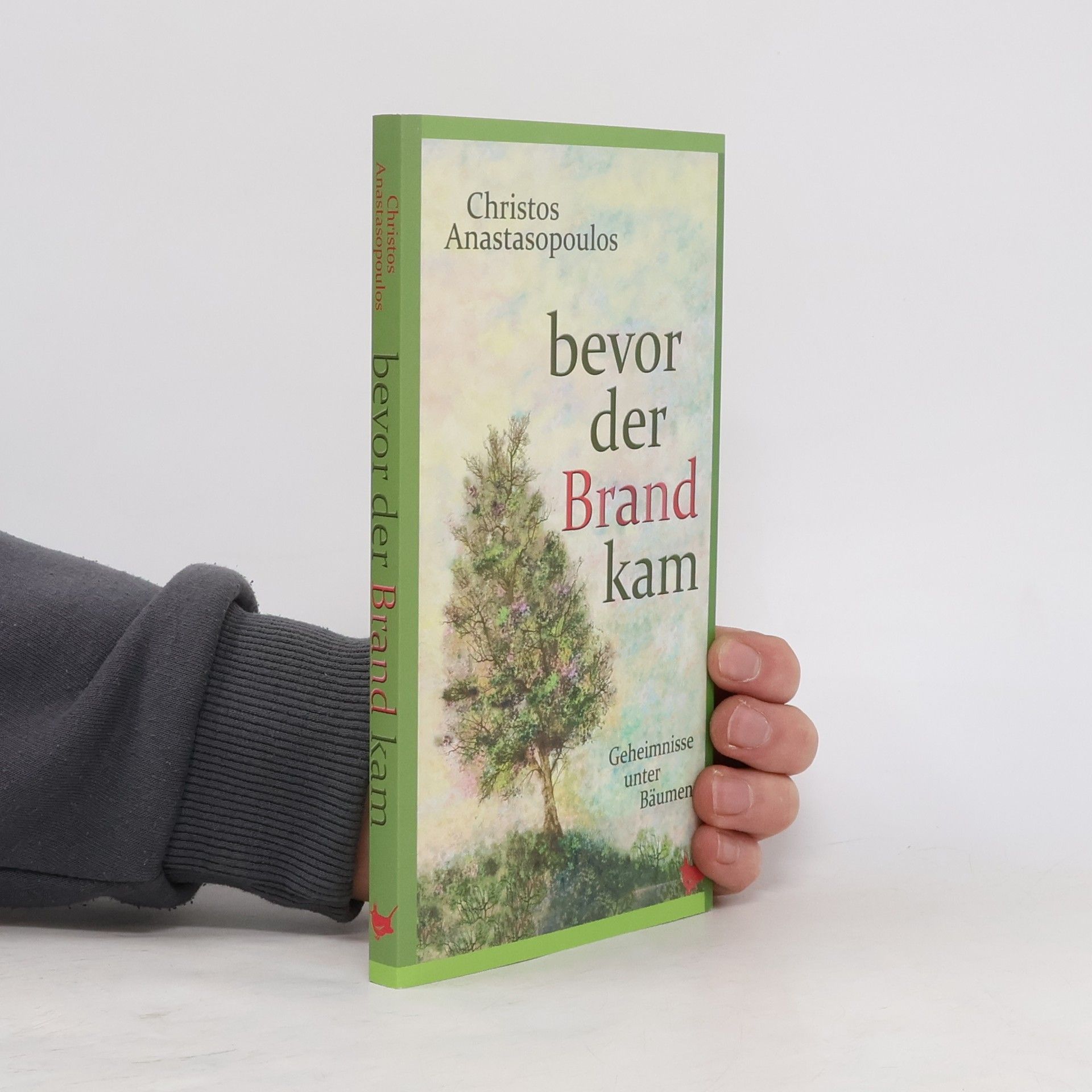 Christos Anastasopoulos Bevor der Brand kam