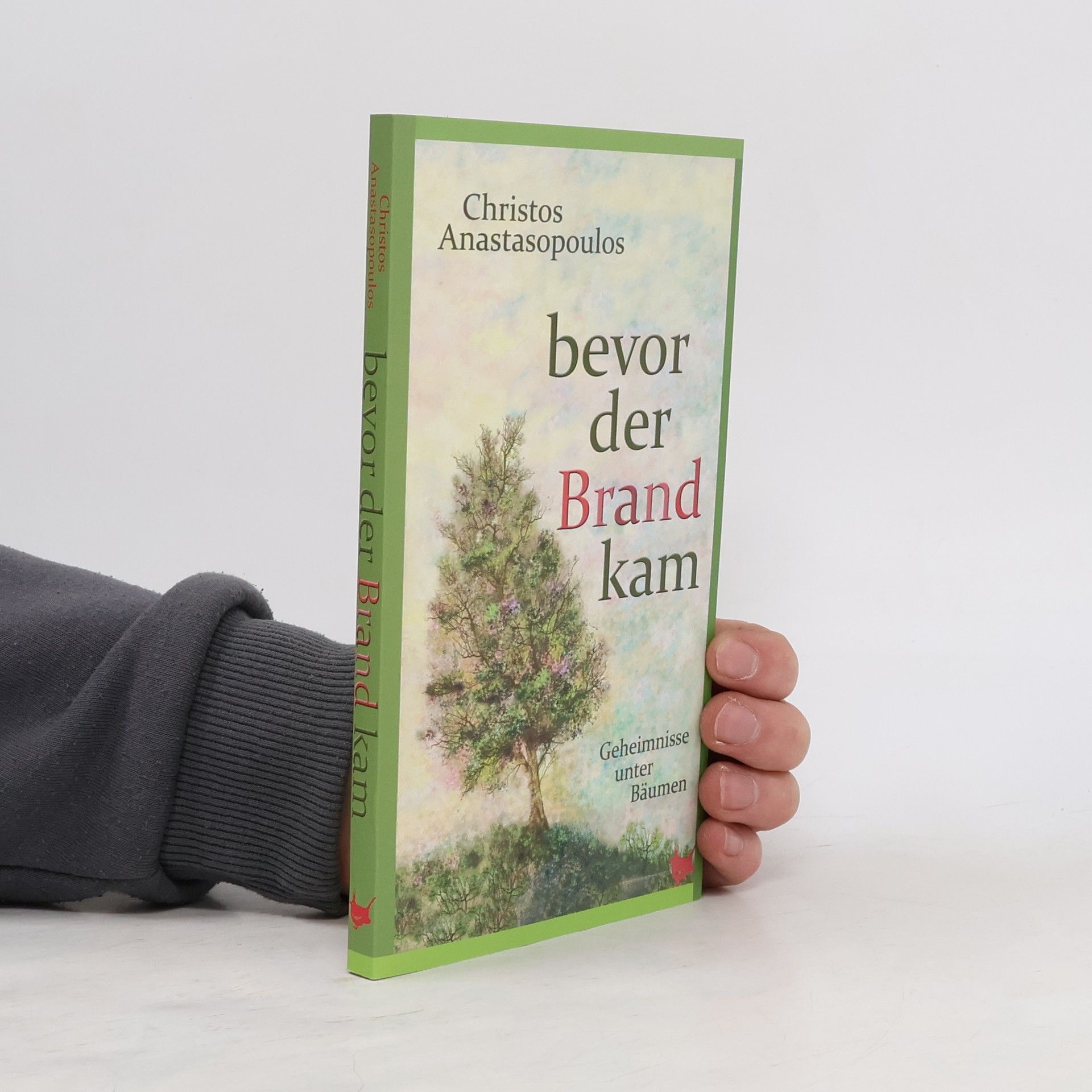 Christos Anastasopoulos Bevor der Brand kam