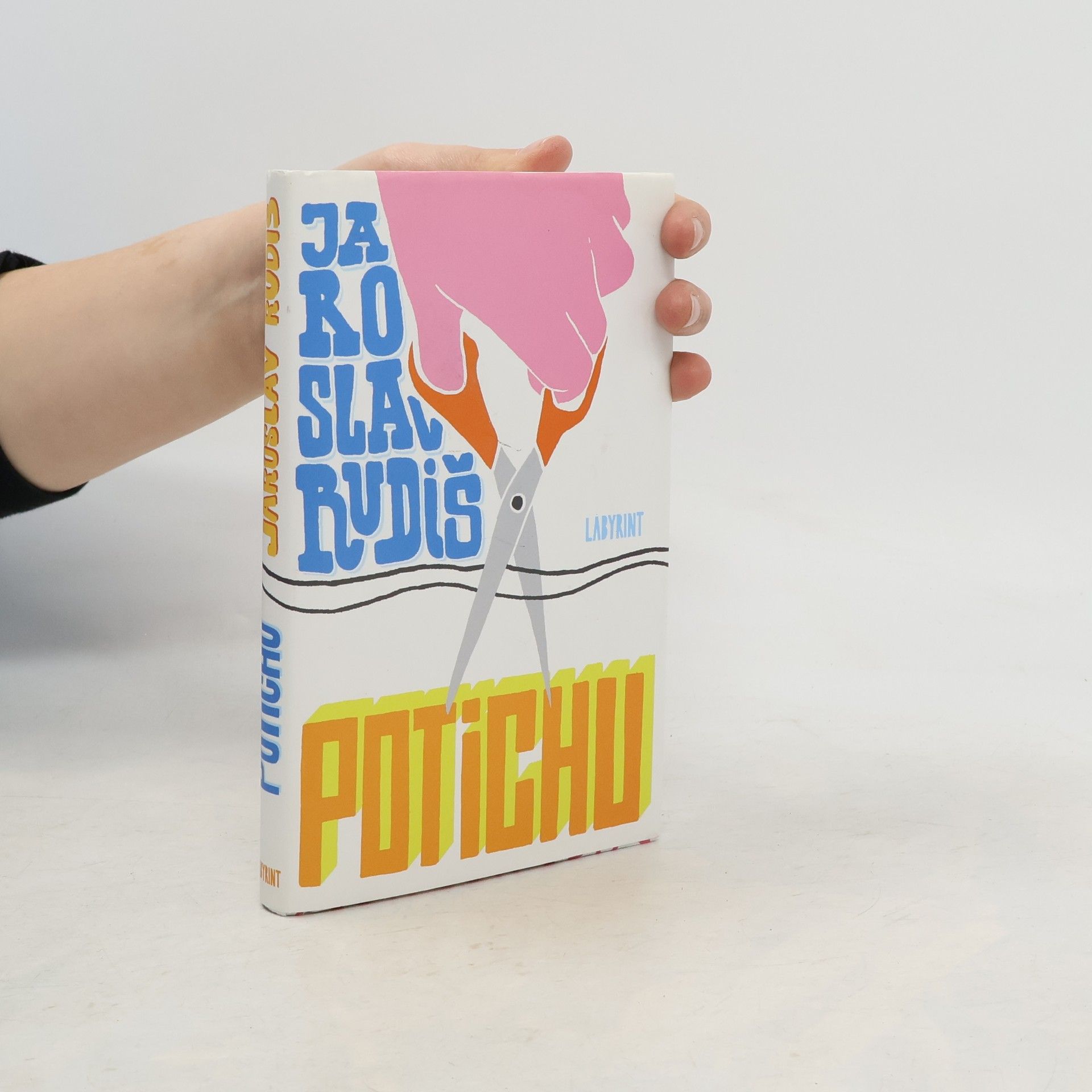 Jaroslav Rudiš Potichu