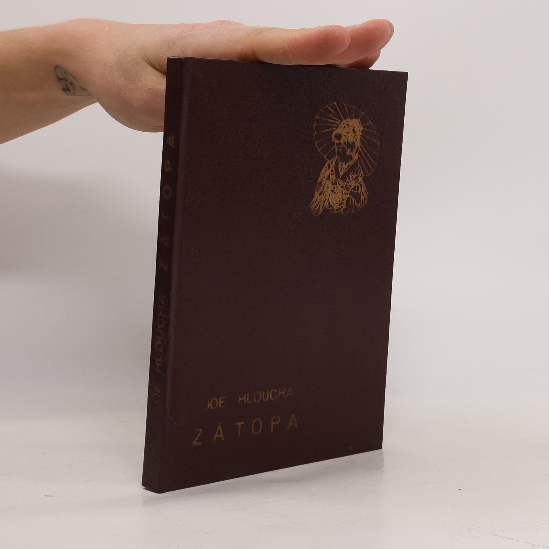 Joe Hloucha Zátopa